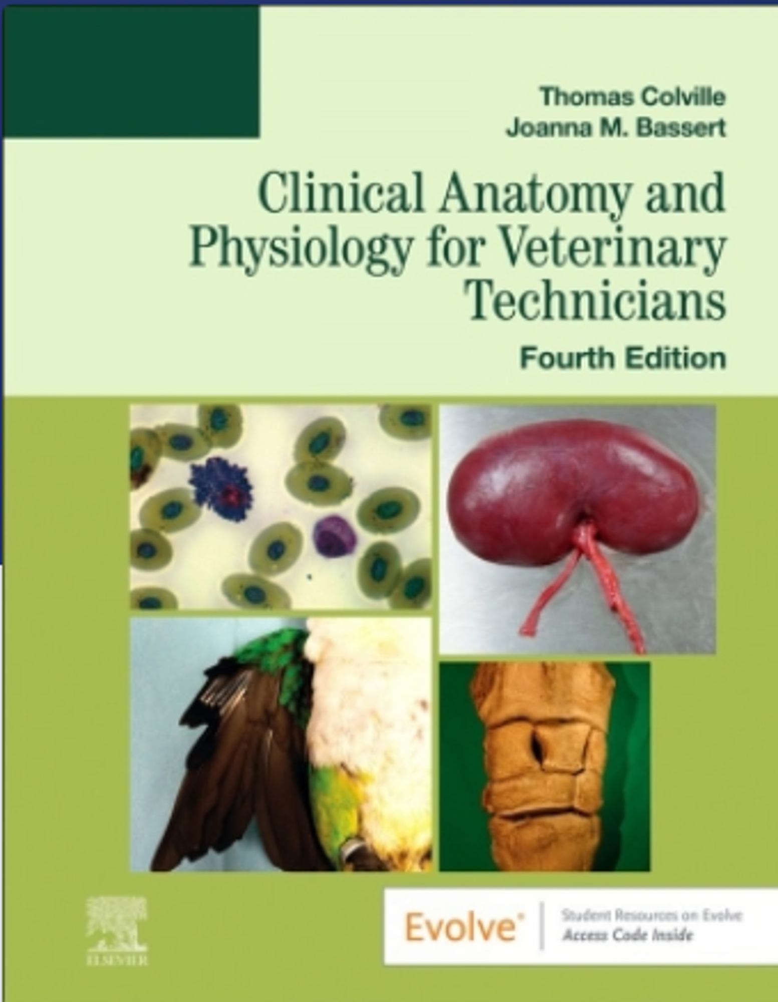 Cover image for CLINICAL ANAT.+PHYS.F/VET.TECH.