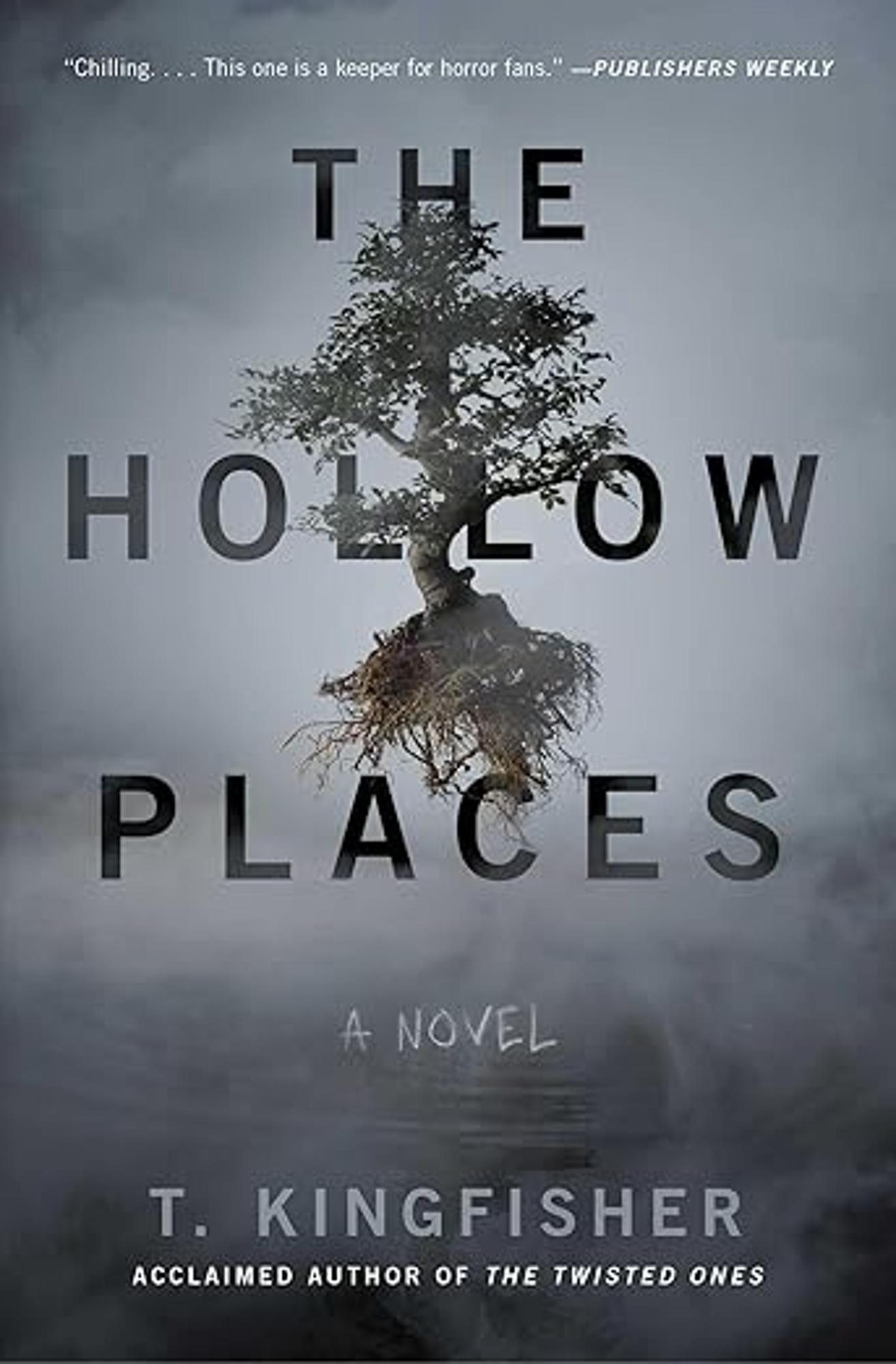 Cover image for THE HOLLOW PLACES