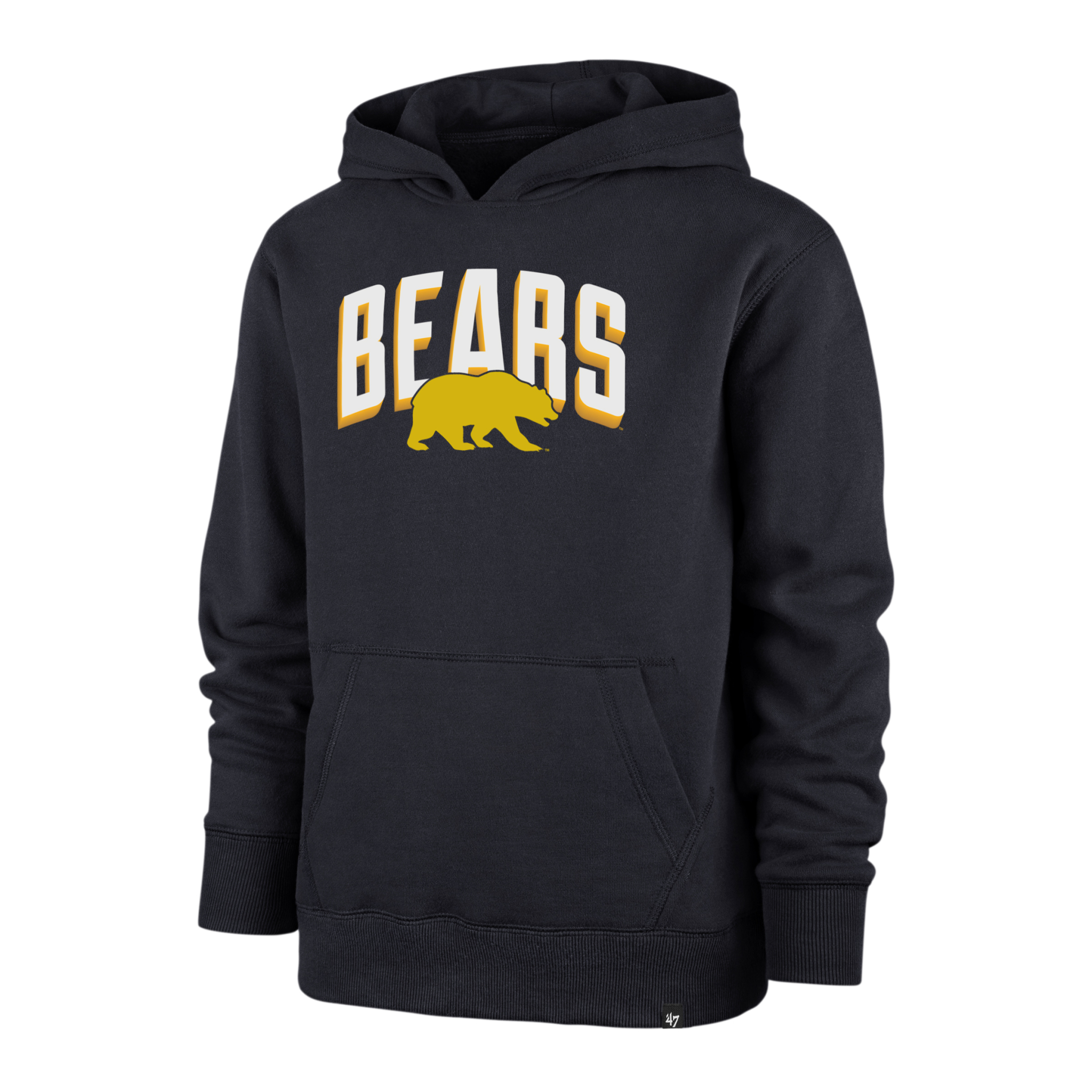 Product image 1 of 1 for zz Youth Pop Fly Sport Hood Bears Walking Bear Logo