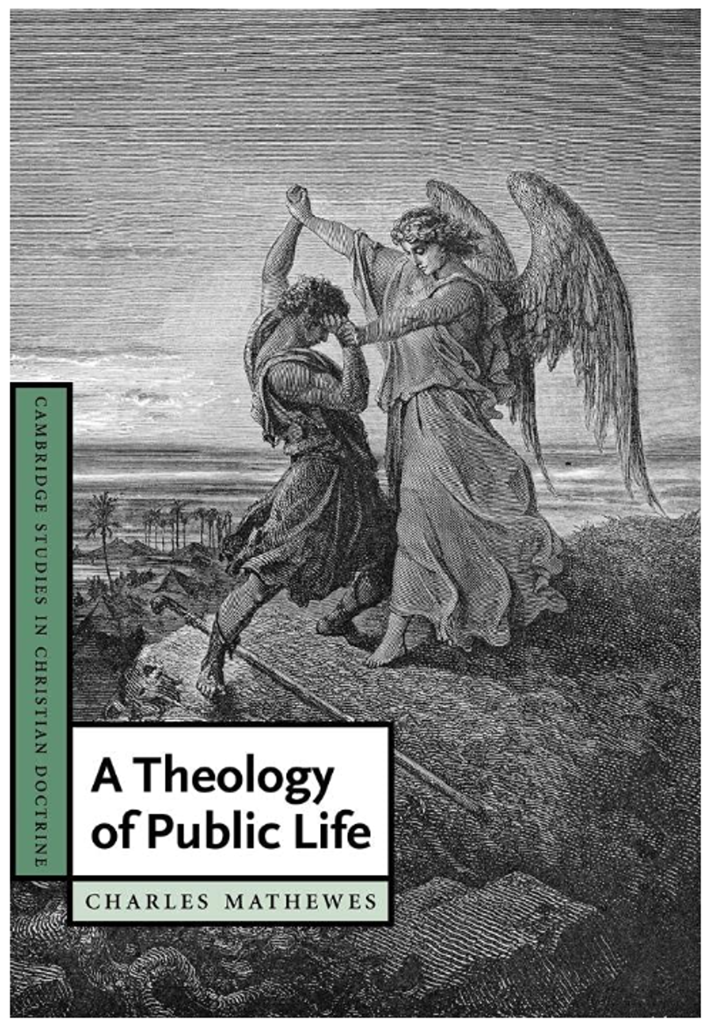 Cover image for A Theology of Public Life