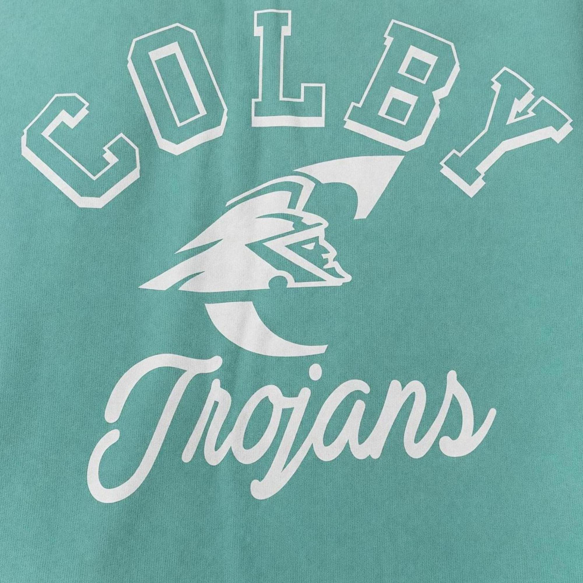 Variant 9 of 17 for Sweatshirt Blanket