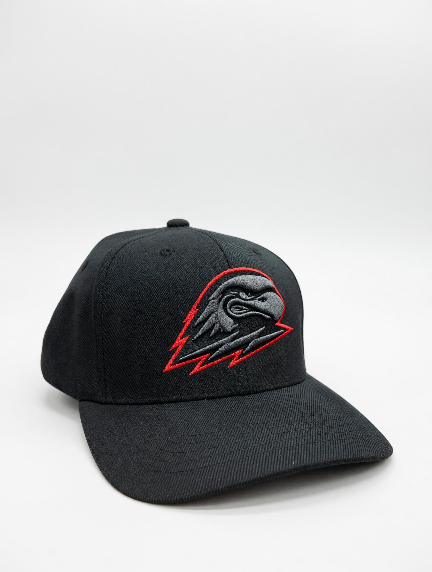 Product image 1 of 1 for CAPX Black Fitted Hat