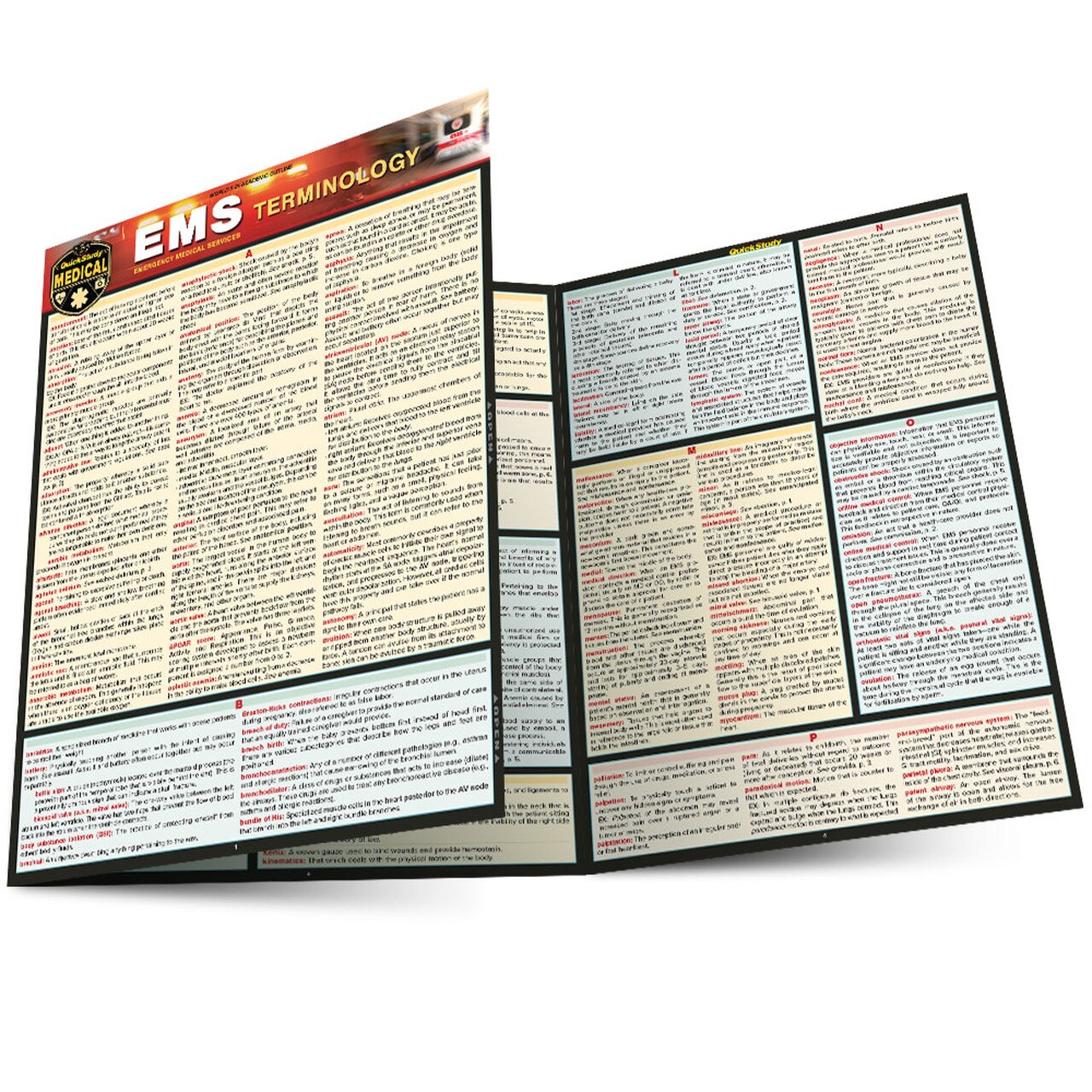 Cover image for EMS TERMINOLOGY LAMINATED STUDY GUIDE