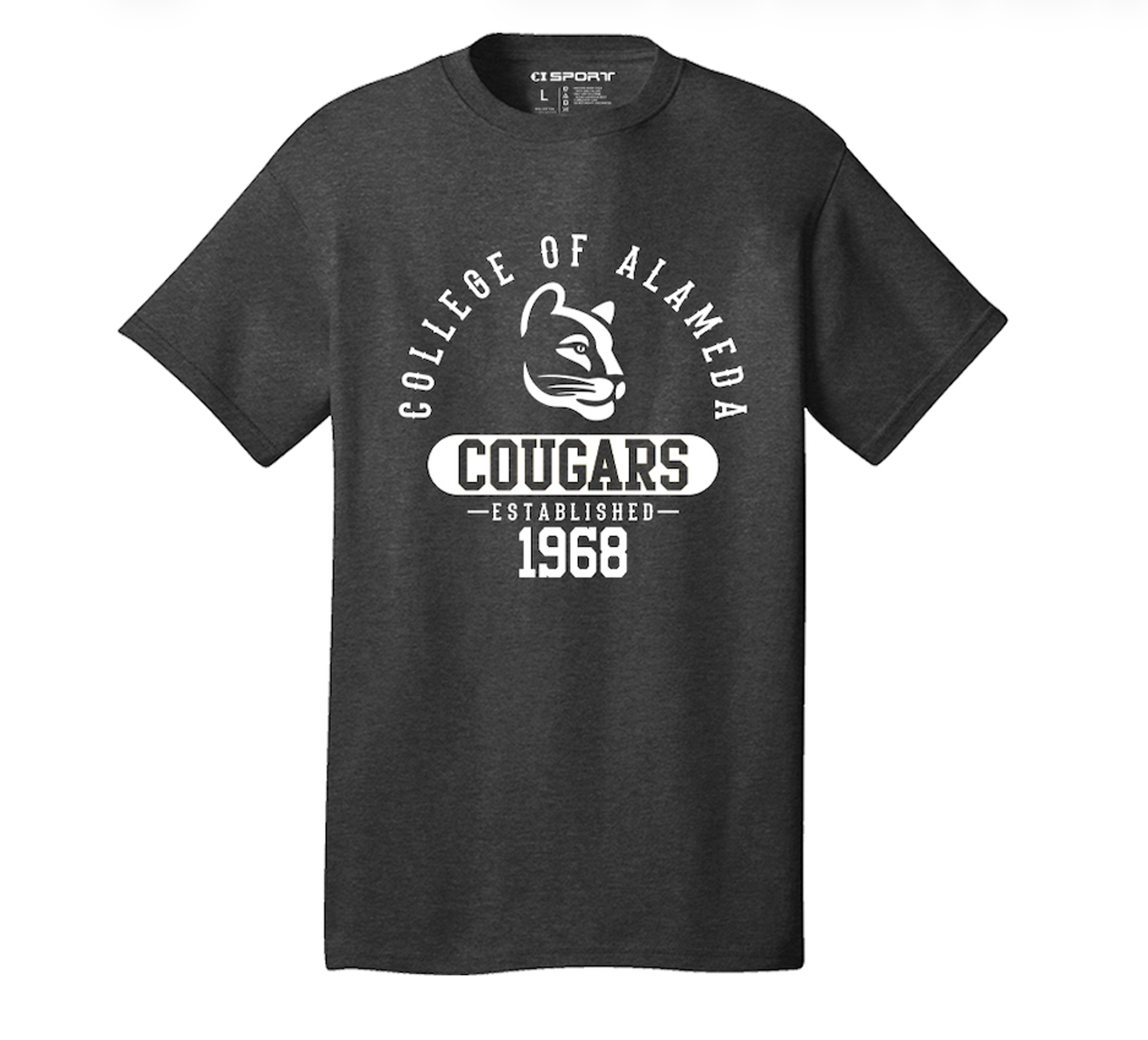 Product image 4 of 4 for PCC ALAMEDA SS TEE VT CHAOS