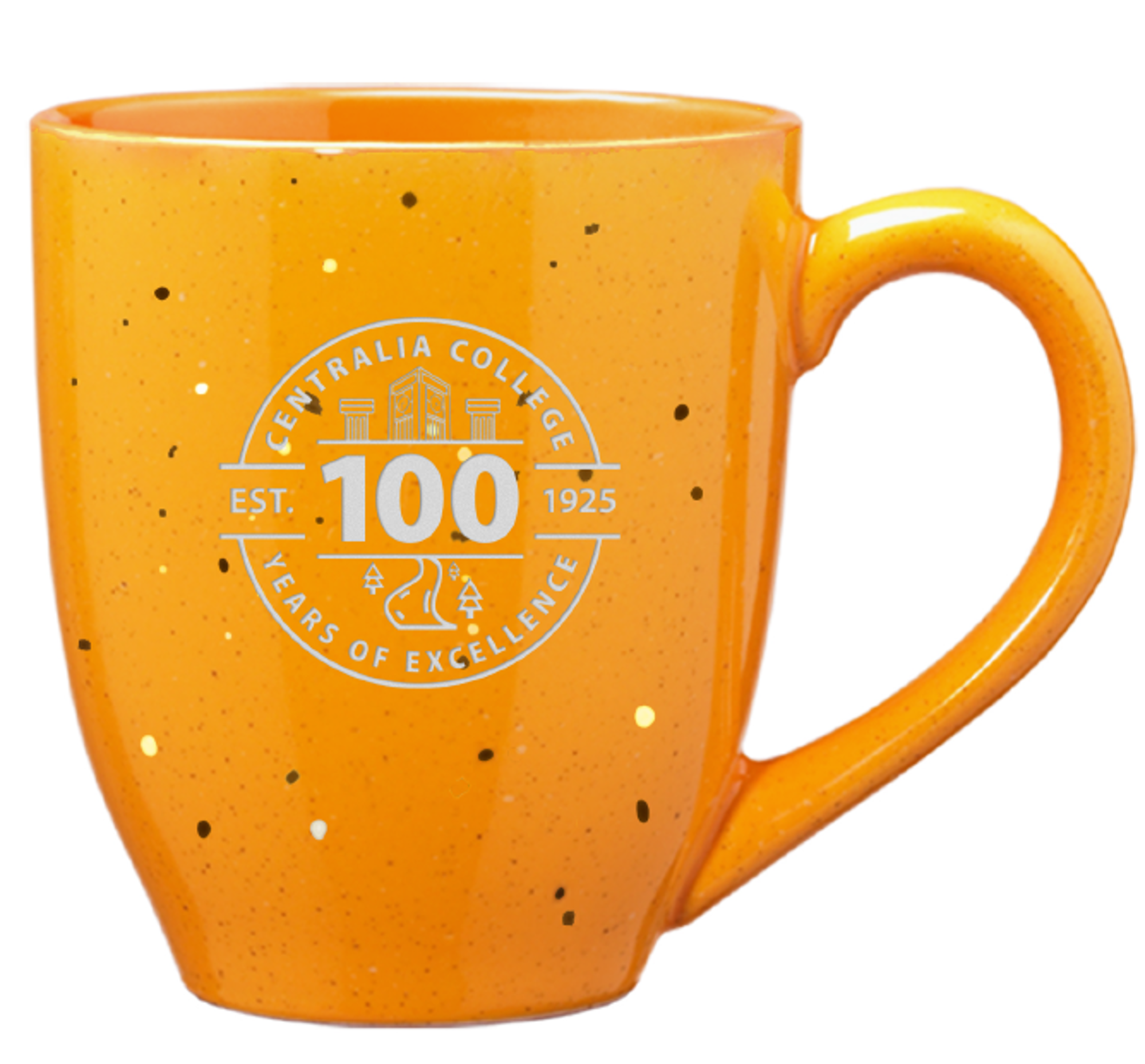 image of: LXG Bistro Speckled Ceramic Mug 100 Years