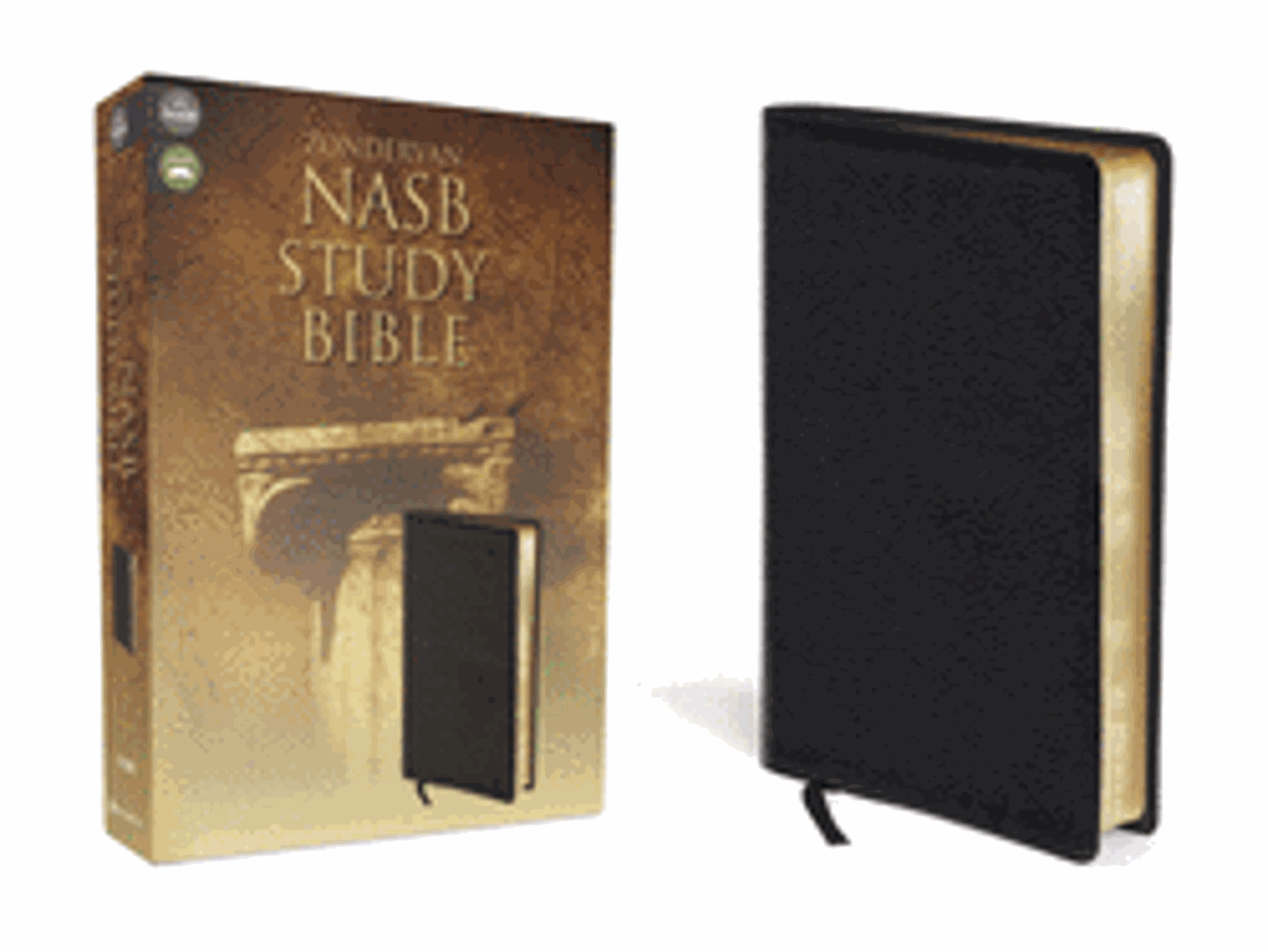 Cover image for NASB Study Bible - Black Bonded Leather