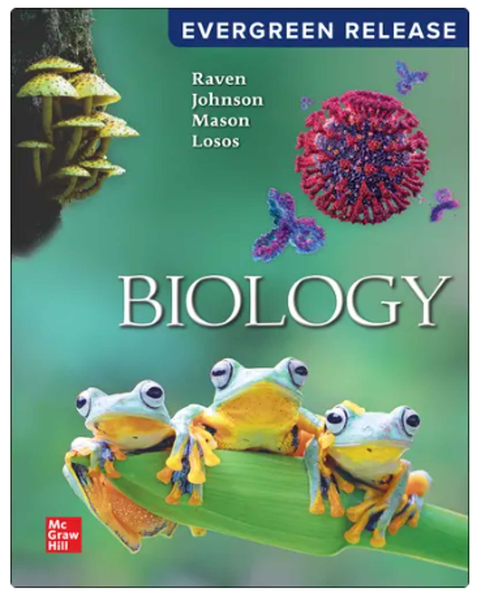 Cover image for Print Upgrade - Biology (Evergreen 2025)