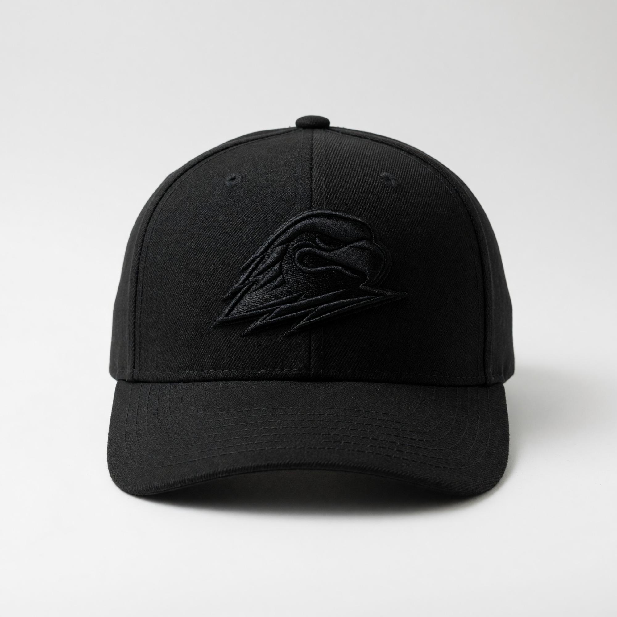 Product image 1 of 2 for CapX Pro Blend Fitted SUU T-Birds – Black on Black