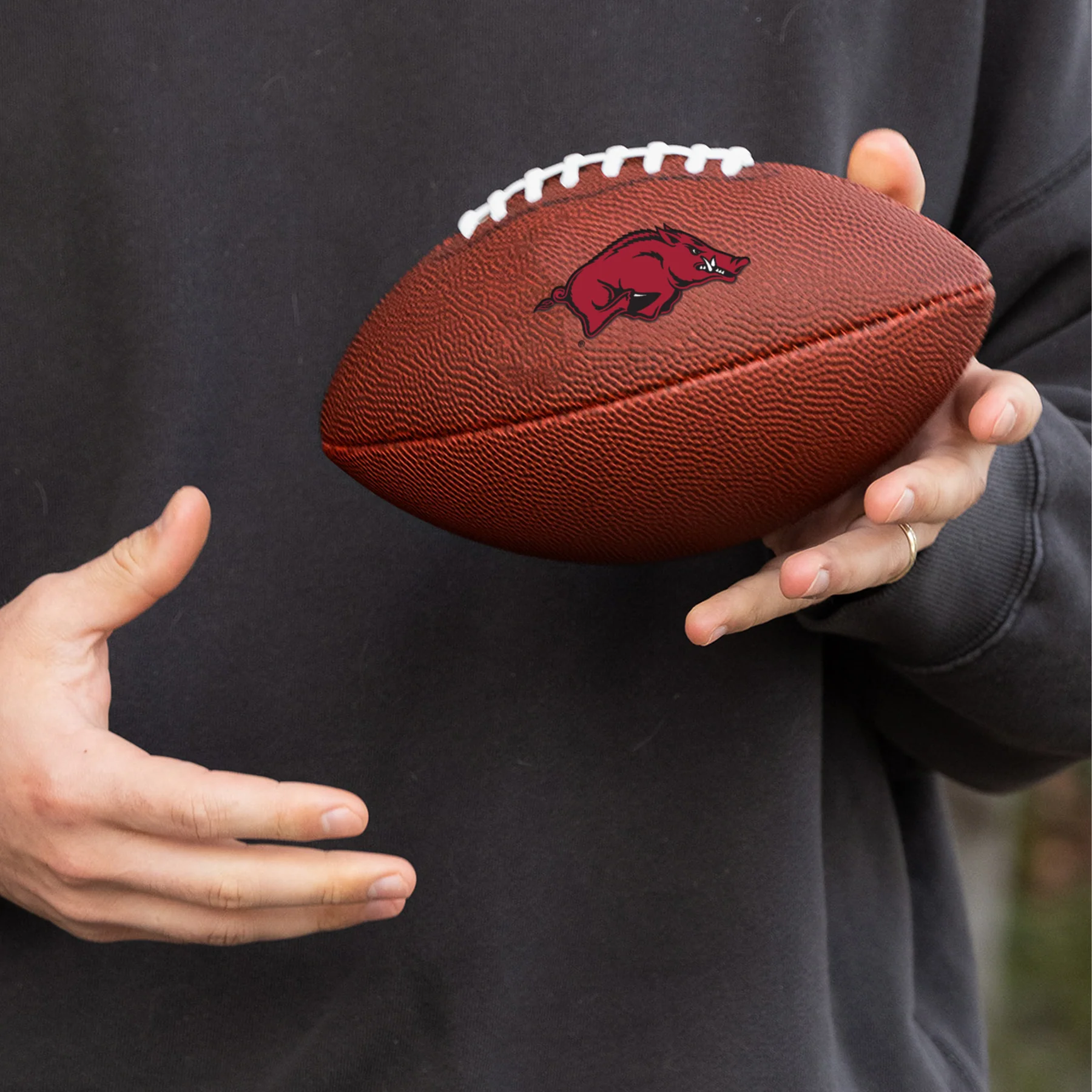 image of: Arkansas Razorbacks Mini Composite Football
