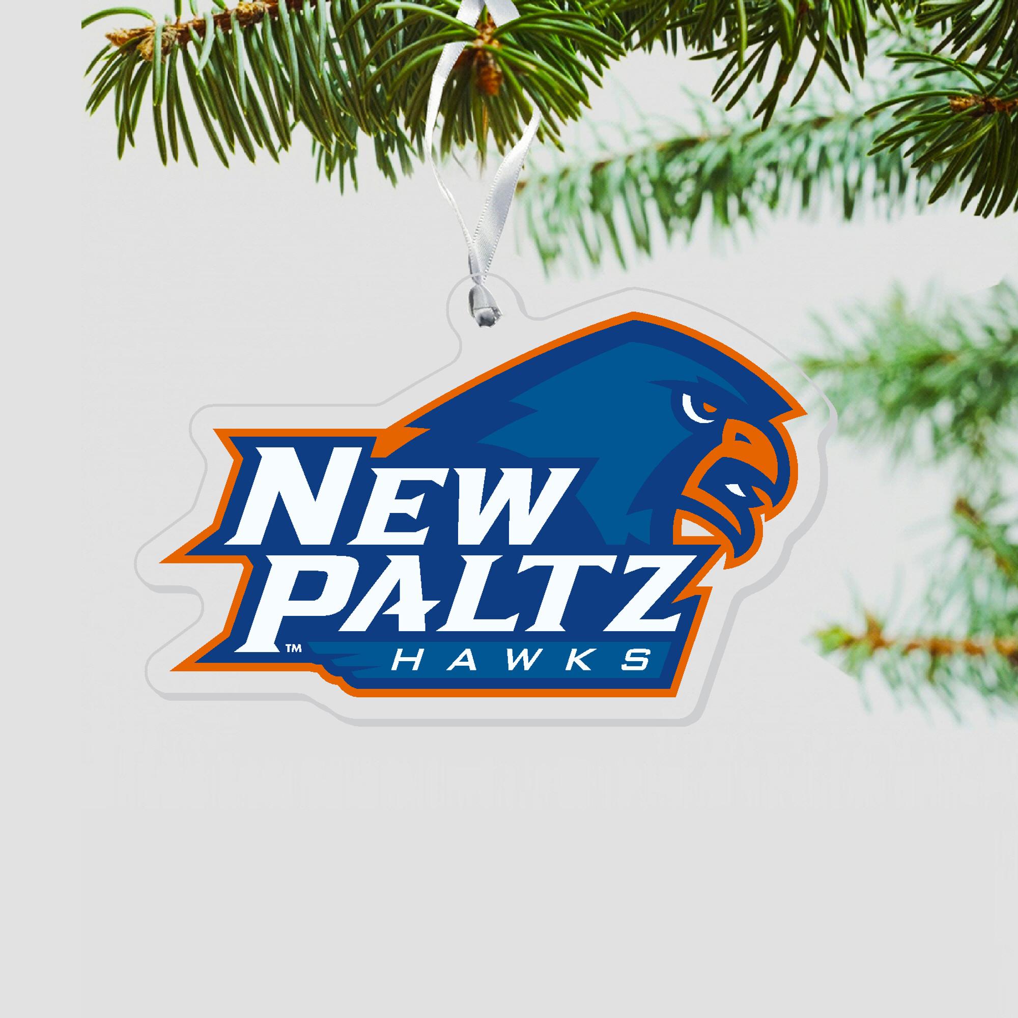 Product image 1 of 1 for Acrylic Ornament - Hawk Head