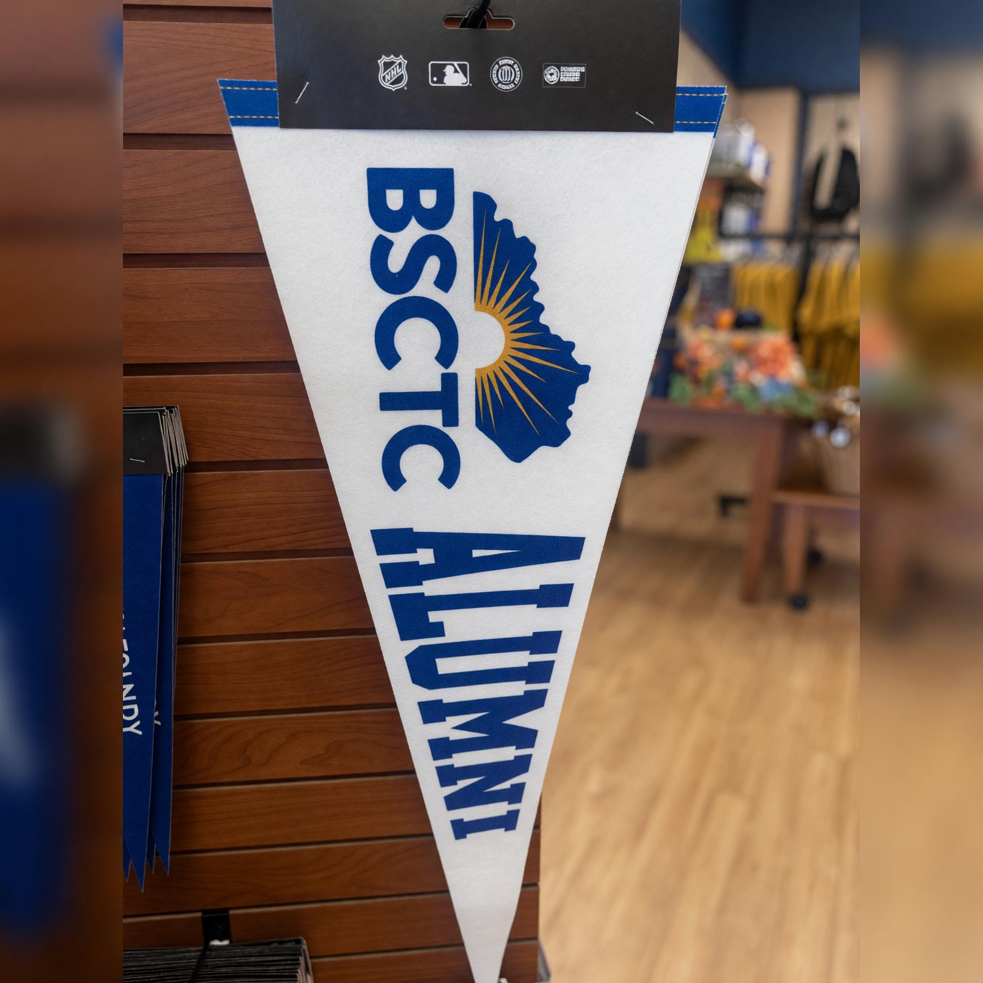 Product image 2 of 4 for KBS 12X30 PENNANT ALUMNI