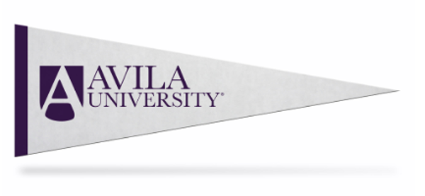 AU PENNANT 5 X 15 WHITE; $8.99