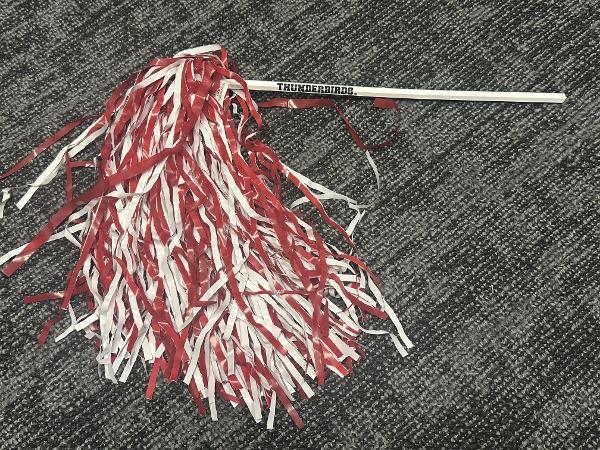 RED/WHITE STICK POM POM; $4.49