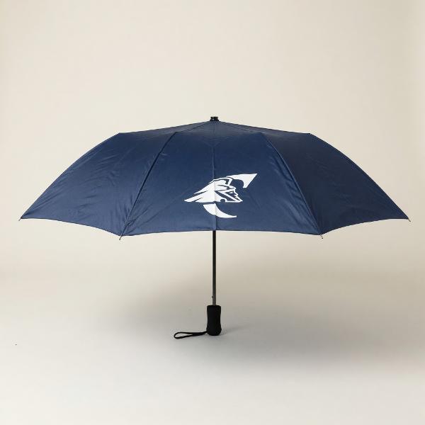 Umbrella; $18.95
