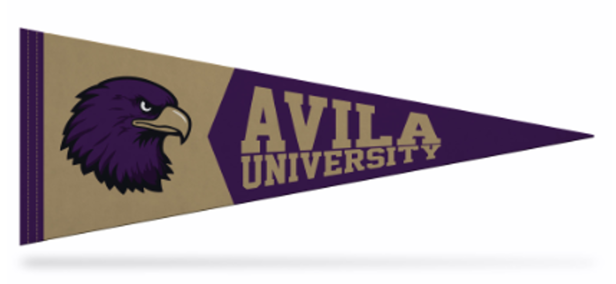 image of: AU PENNANT 9" X 24" PURPLE/GOLD