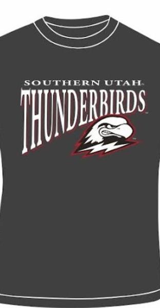 CI SPORT L/S TEE CHARCOAL SOU THUNDERBIRDS THOR; $22.99