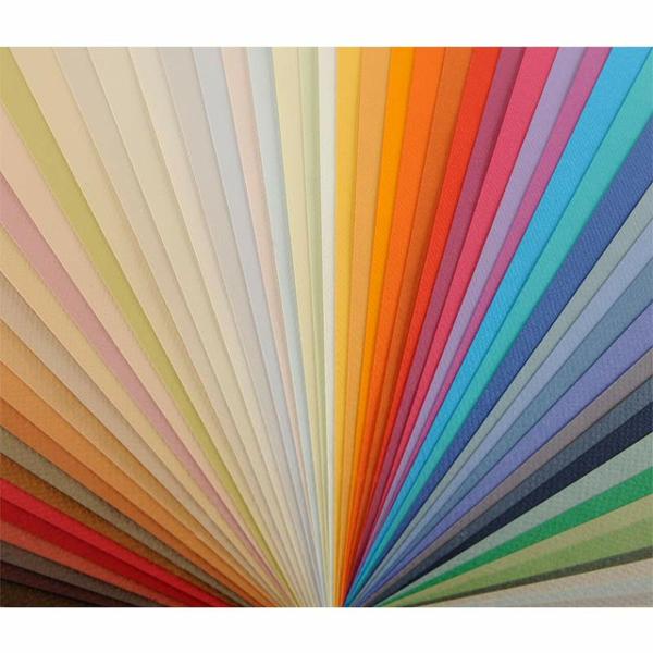 Canson Mi-Teintes Illustration Paper; $2.99
