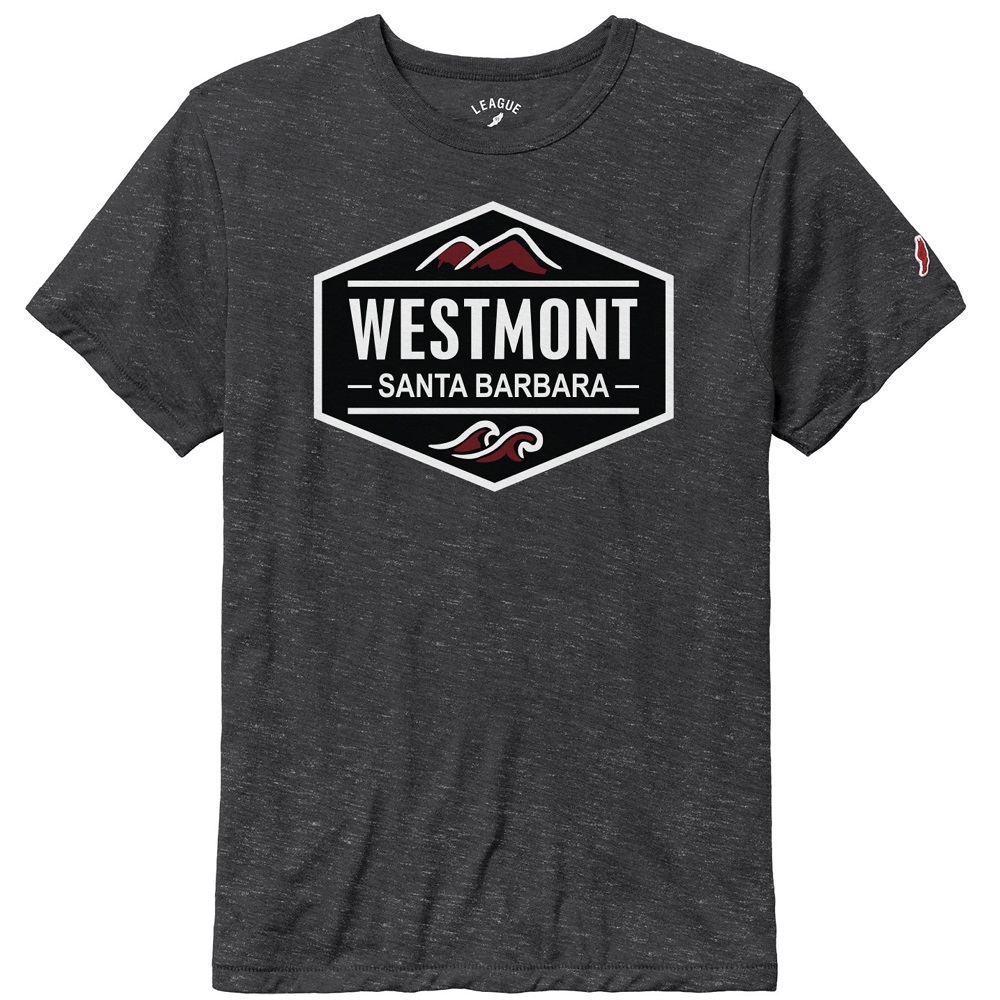 image of: L2 Victory Falls Mountains and Sea Tee