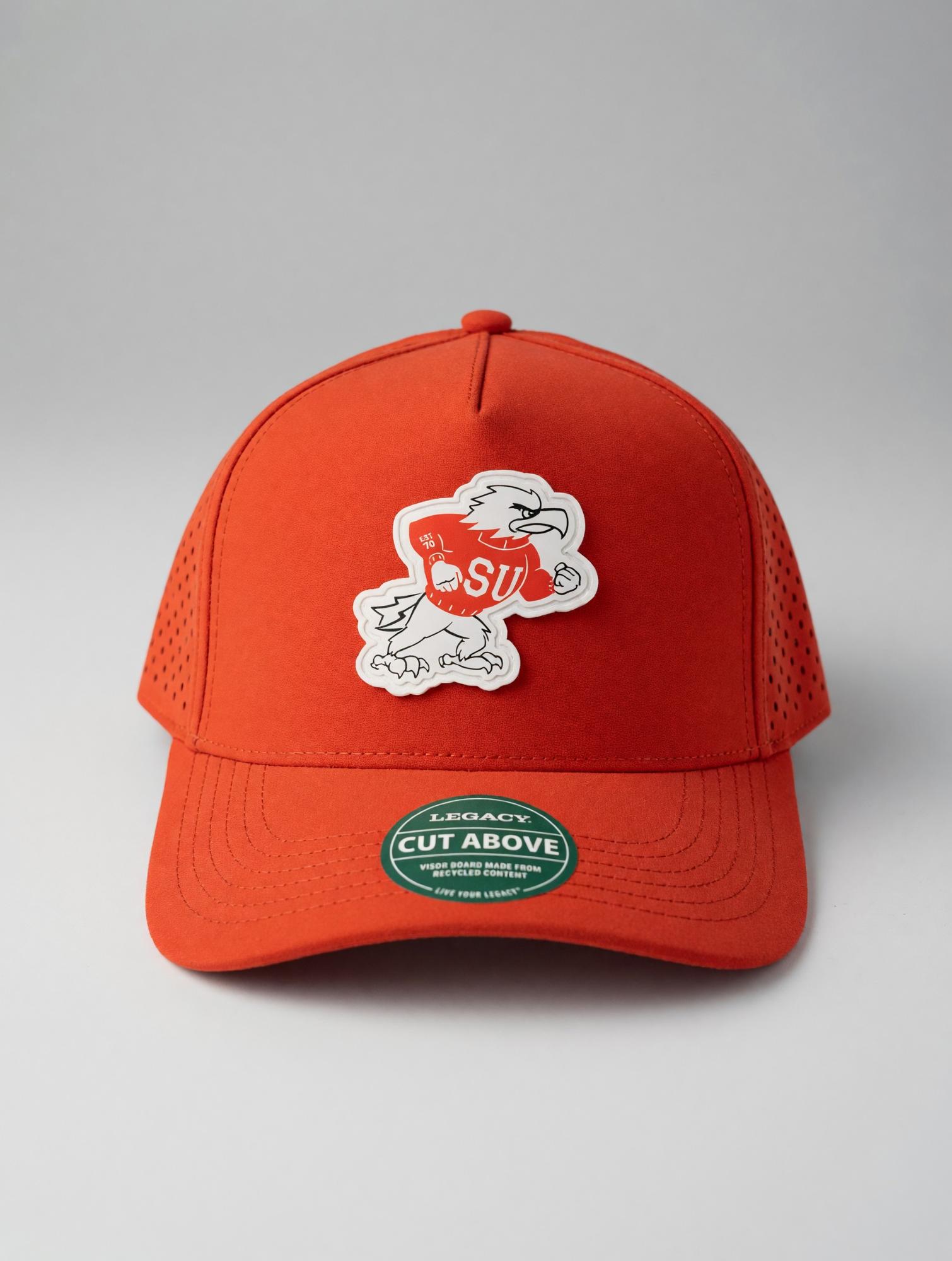 Enlarged product image