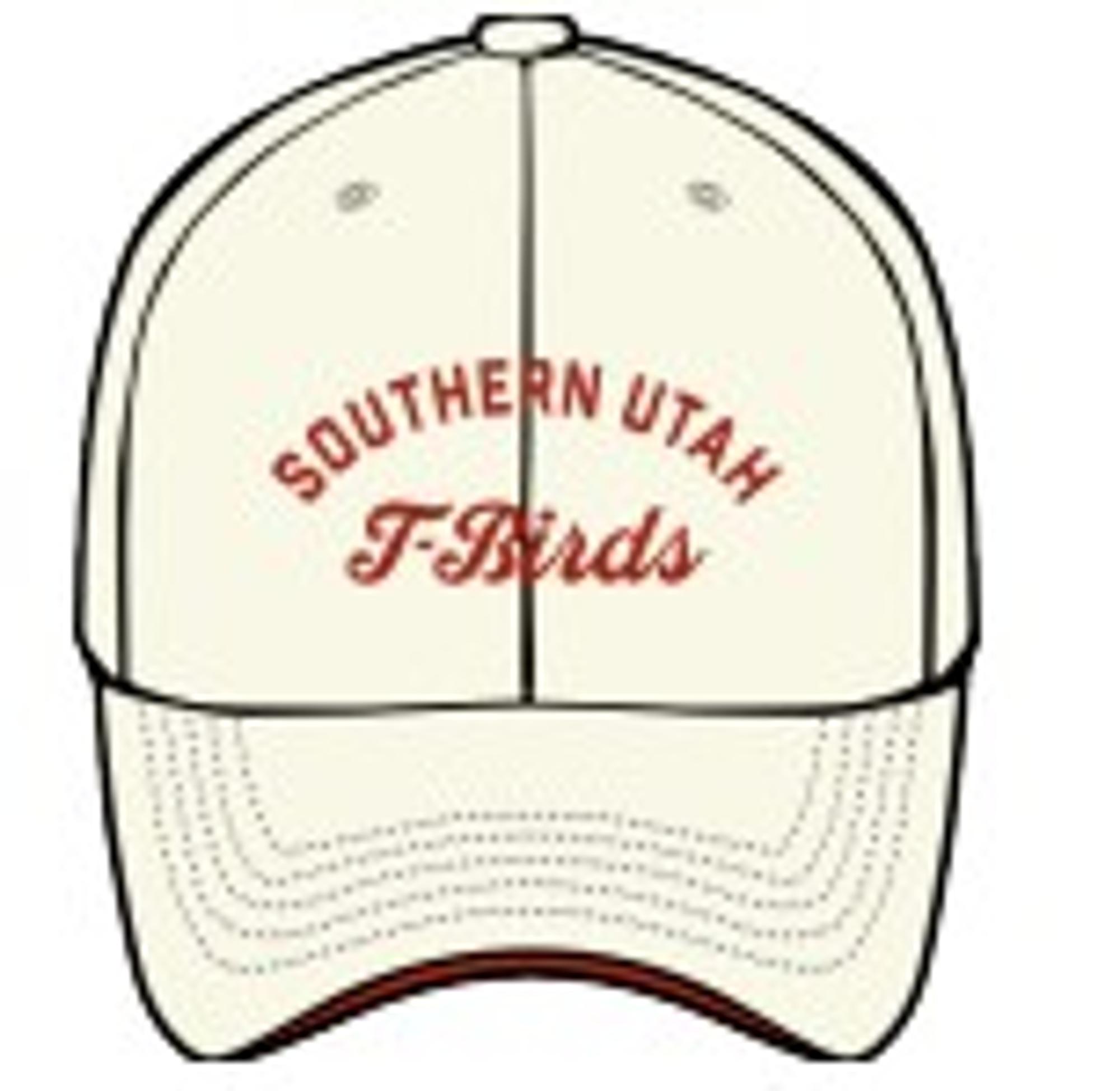 Enlarged product image