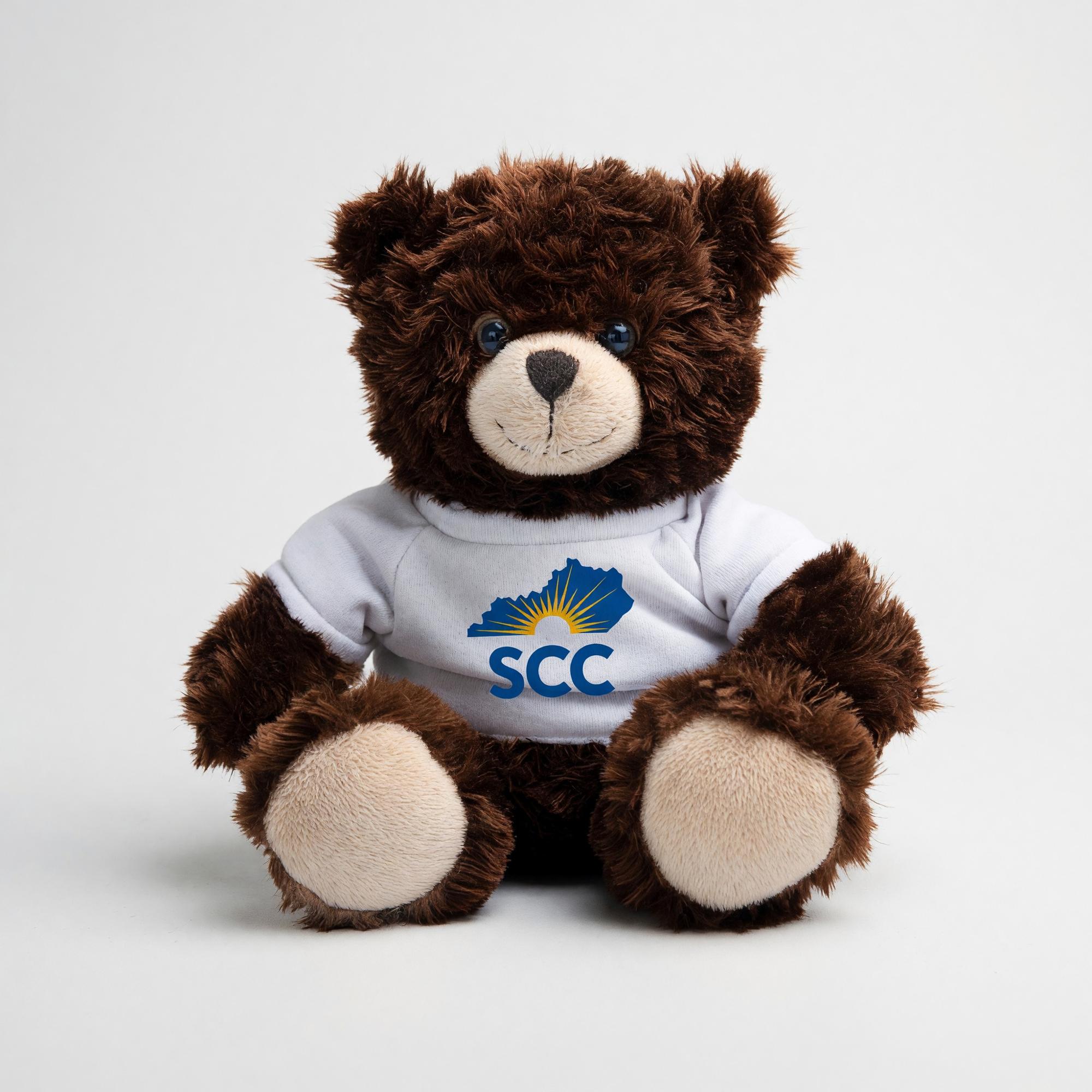 Variant 2 of 2 for KSCC PLUSH 10" BEAR W/T-SHIRT