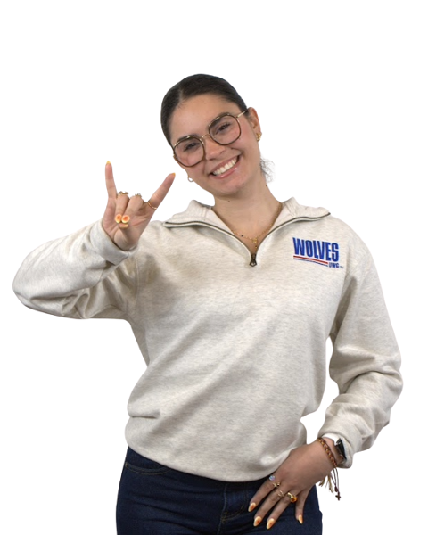 BOLD WOLVES DAZZEL QUARTER ZIP SWEATSHIRT; $59.99