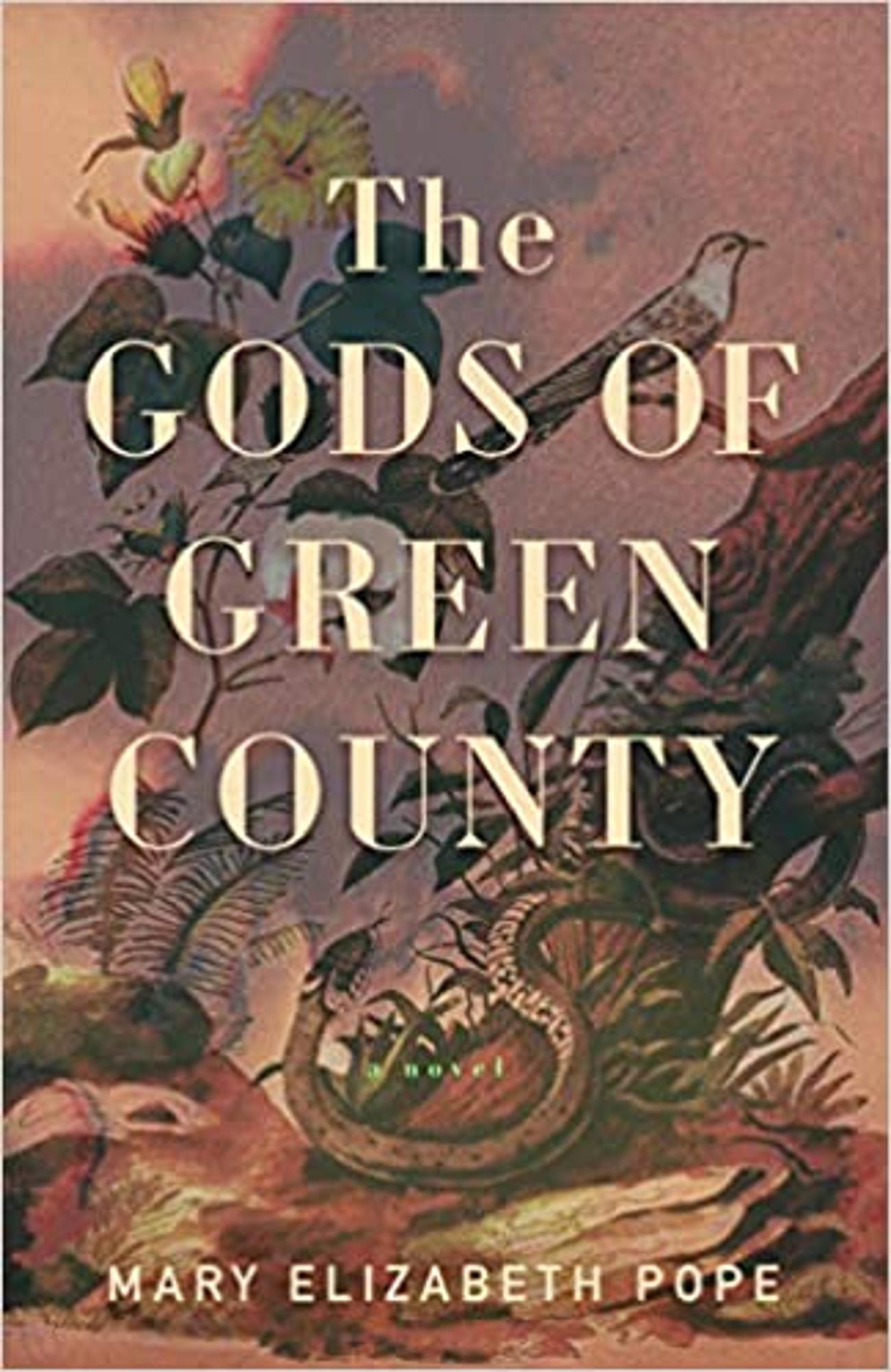 Cover image for The Gods of Green County : A Novel