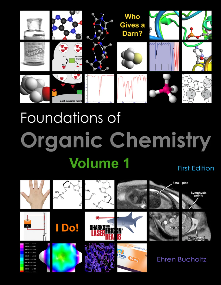 Cover image for FOUNDATIONS OF ORGANIC CHEMISTRY,VOL.1