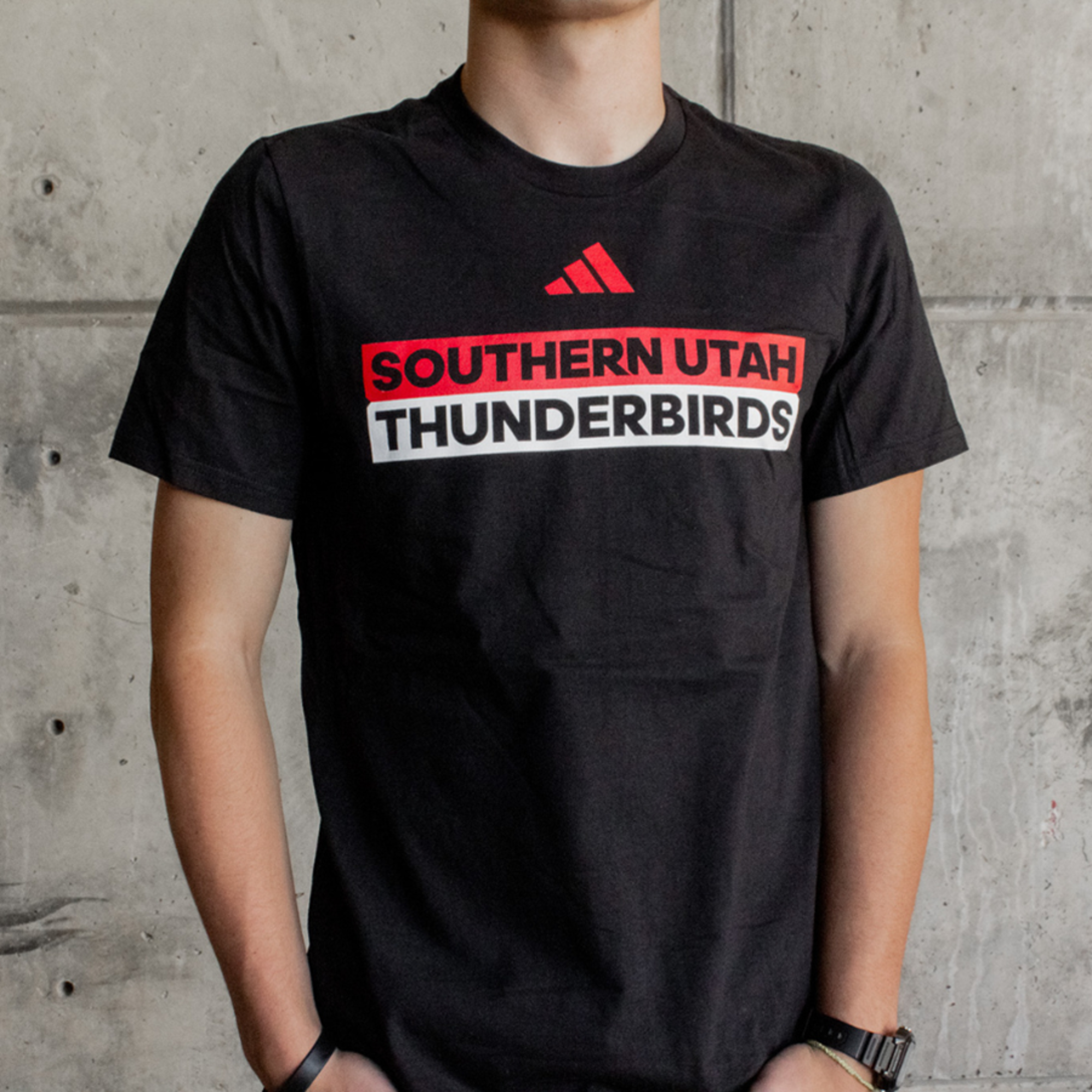 Enlarged product image