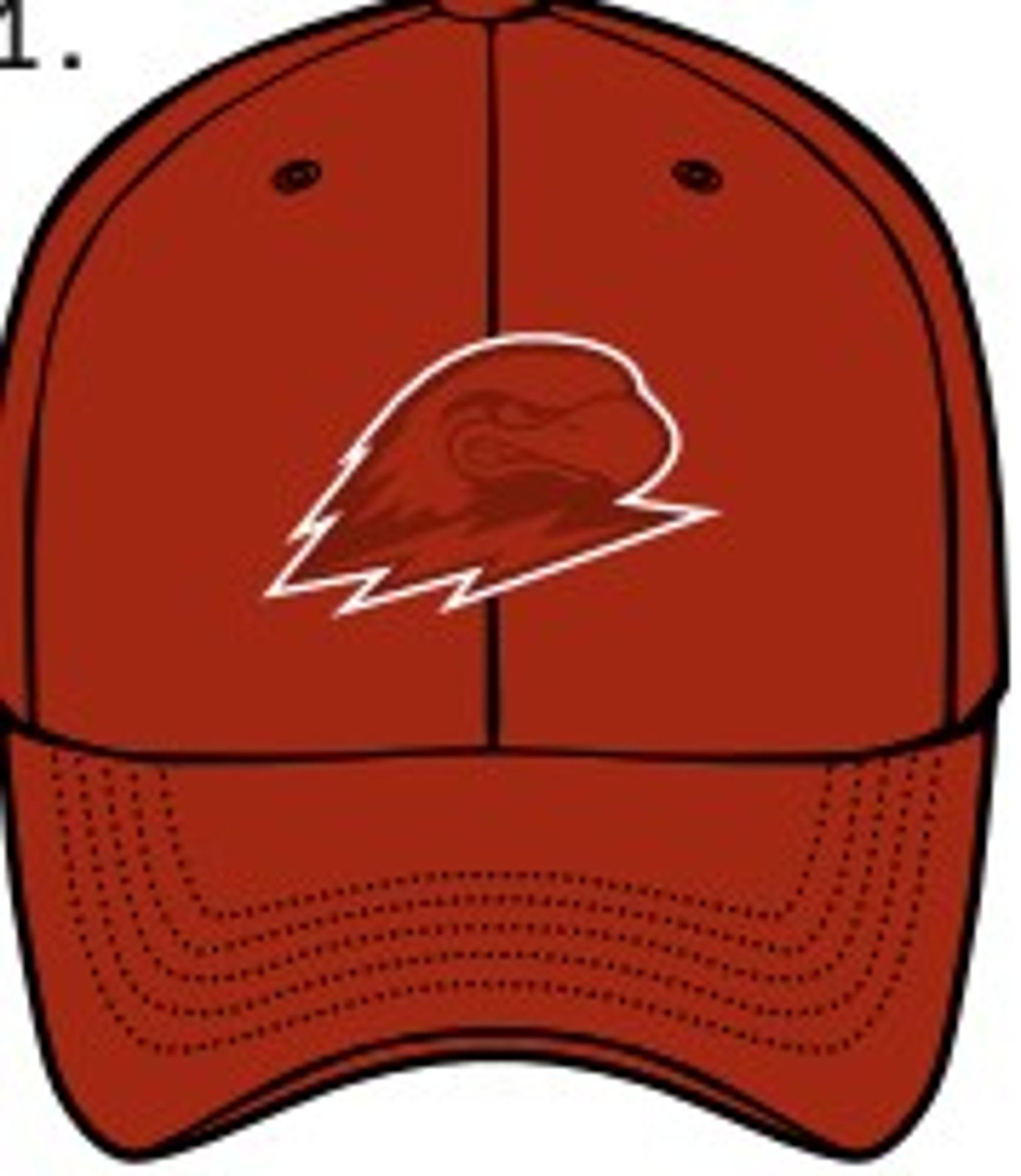Enlarged product image