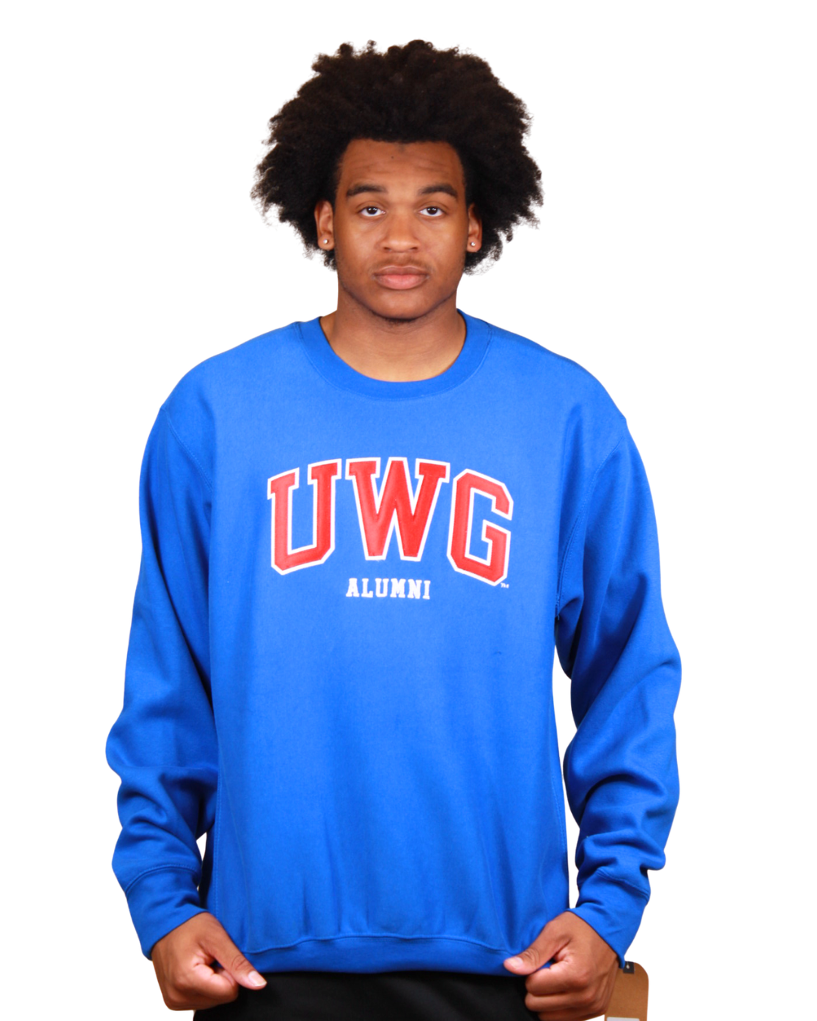 Product image 3 of 10 for UWG ALUMNI APPLIQUE CREW