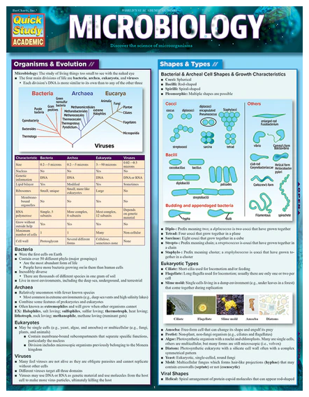 Cover image for MICROBIOLOGY LAMINATED STUDY GUIDE