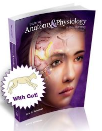 Cover image for Exploring Anatomy & Physiology in the Lab