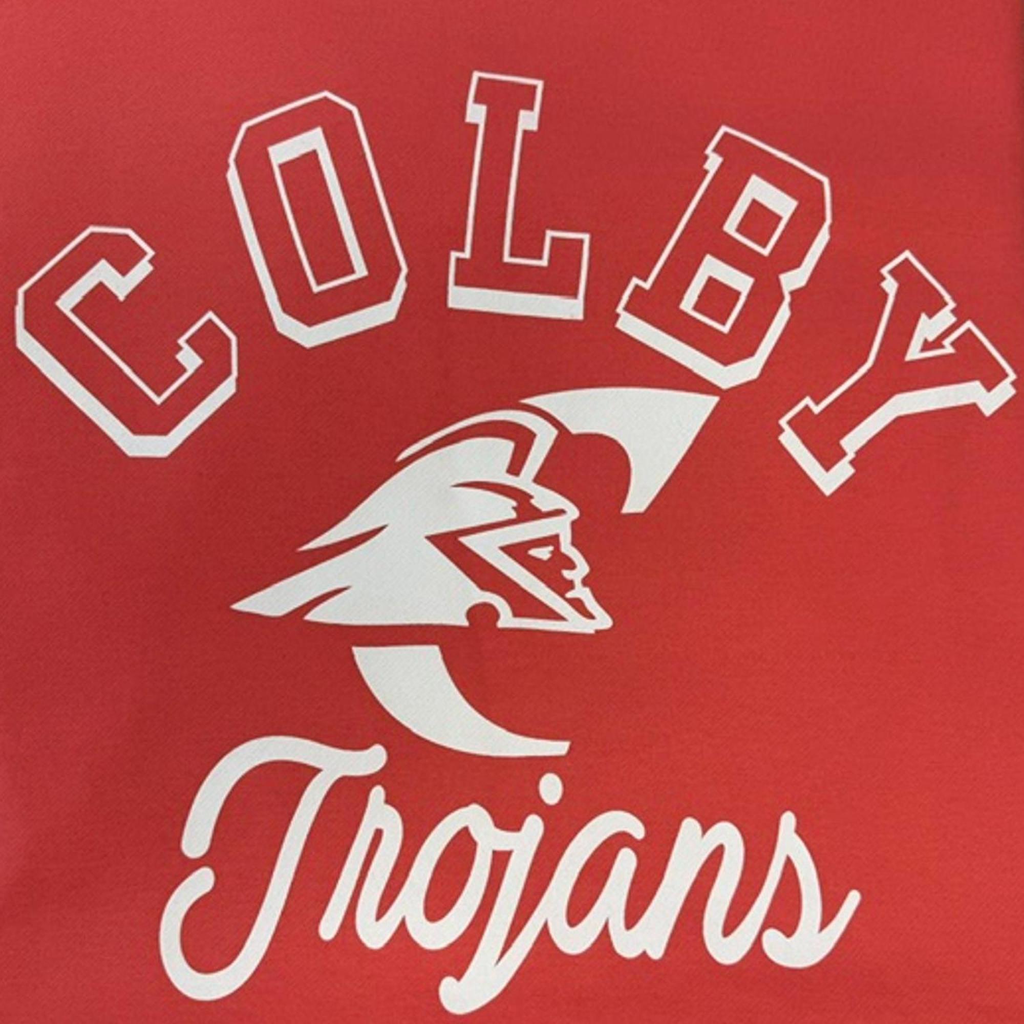 Variant 17 of 17 for Sweatshirt Blanket