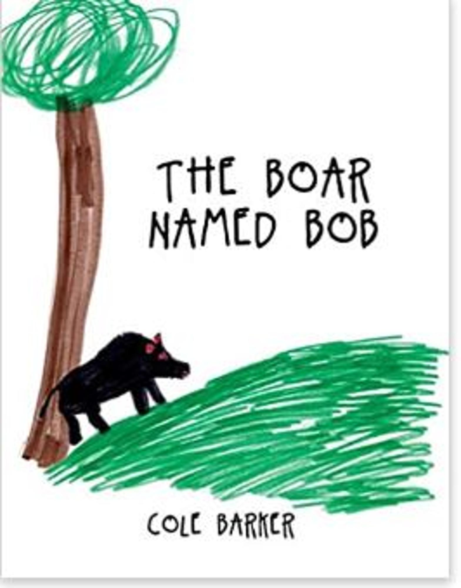 Cover image for A Boar Name Bob