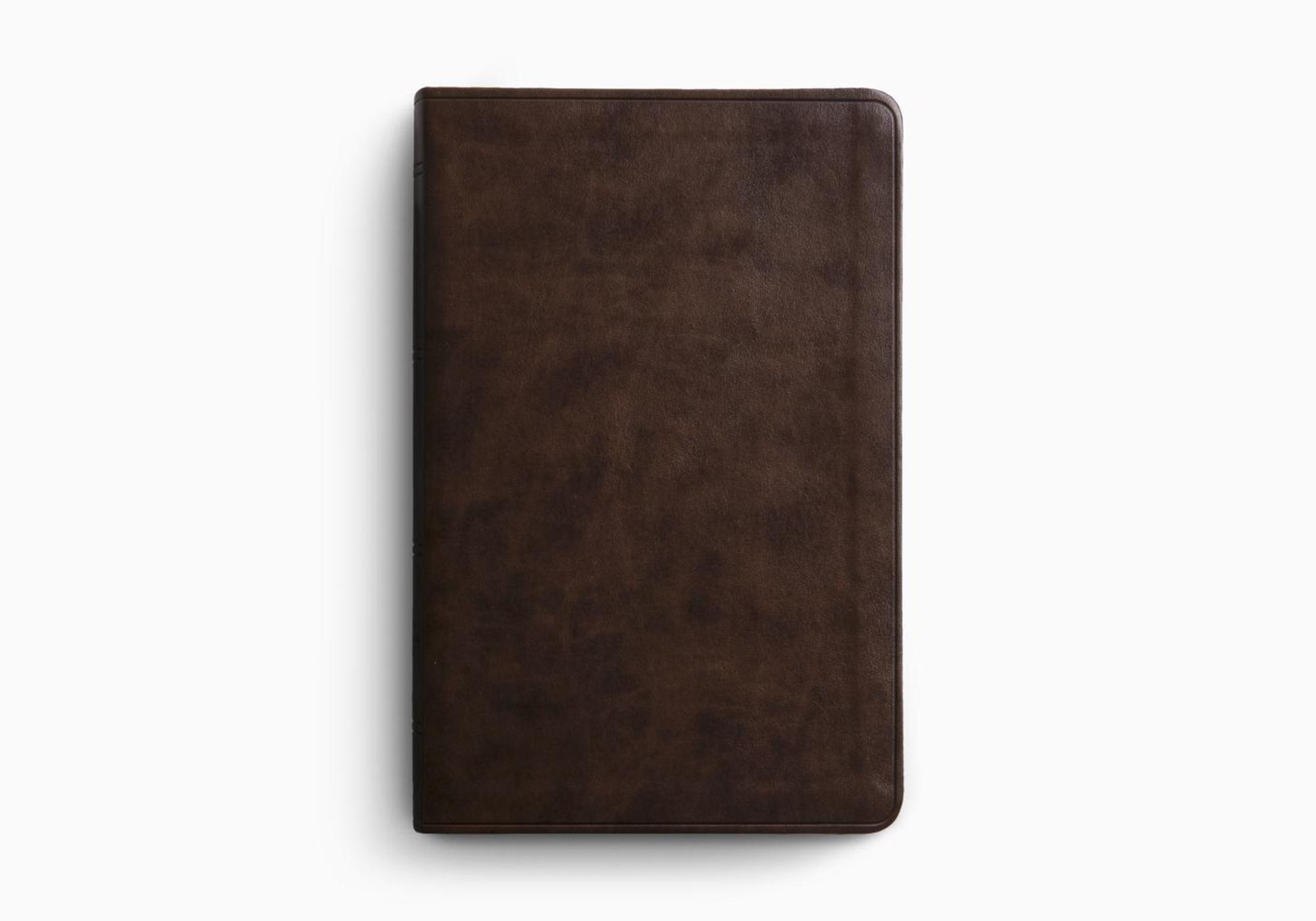 Cover image for ESV Premium Gift Bible, Red Letter (Trutone, Brown)