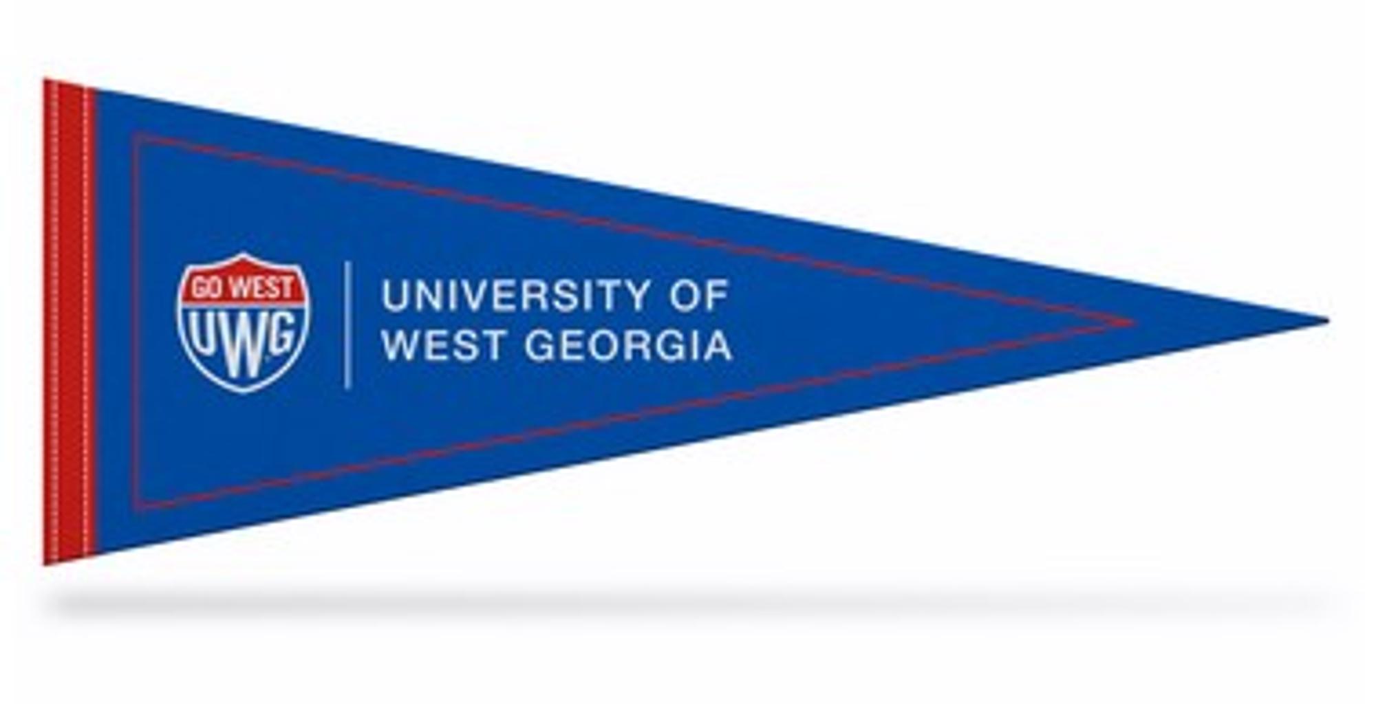 image of: 9" x 24" Pennant
