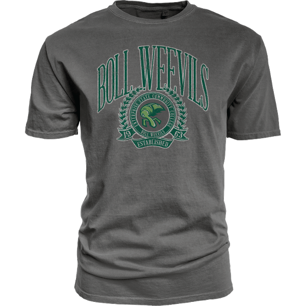 Weevils Super Fresh Dyed Ringspun Tee; $28.99