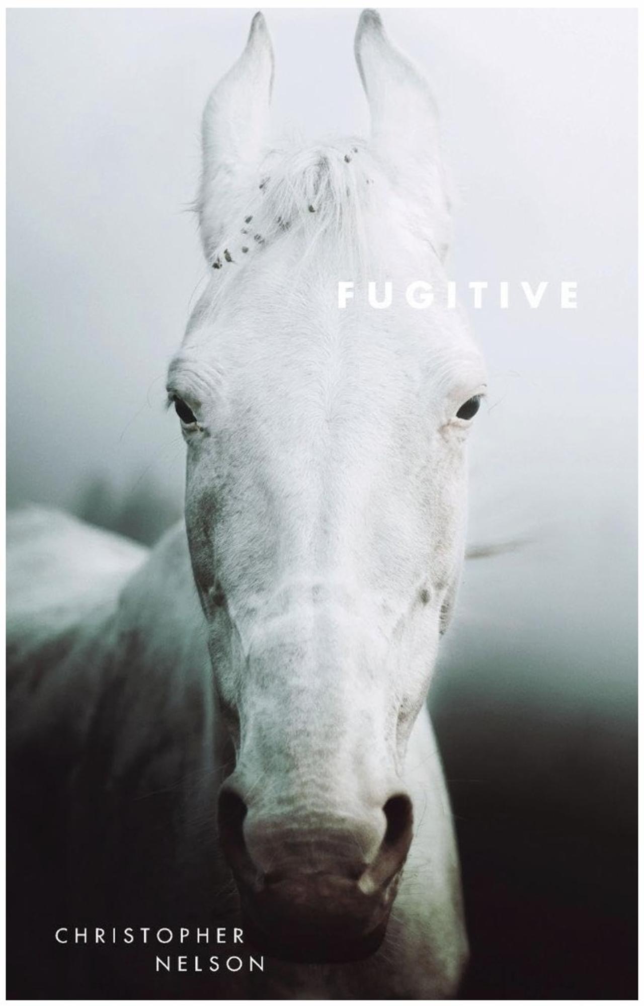 Cover image for FUGITIVE
