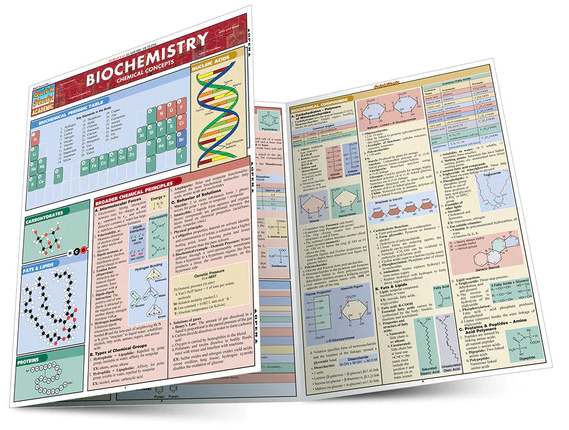 Cover image for BIOCHEMISTRY LAMINATED STUDY GUIDE