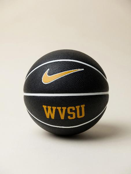 BASKETBALL - NIKE Black Mini; $19.99