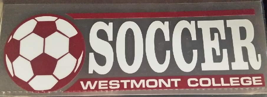 image of: Color Shock Soccer Decal