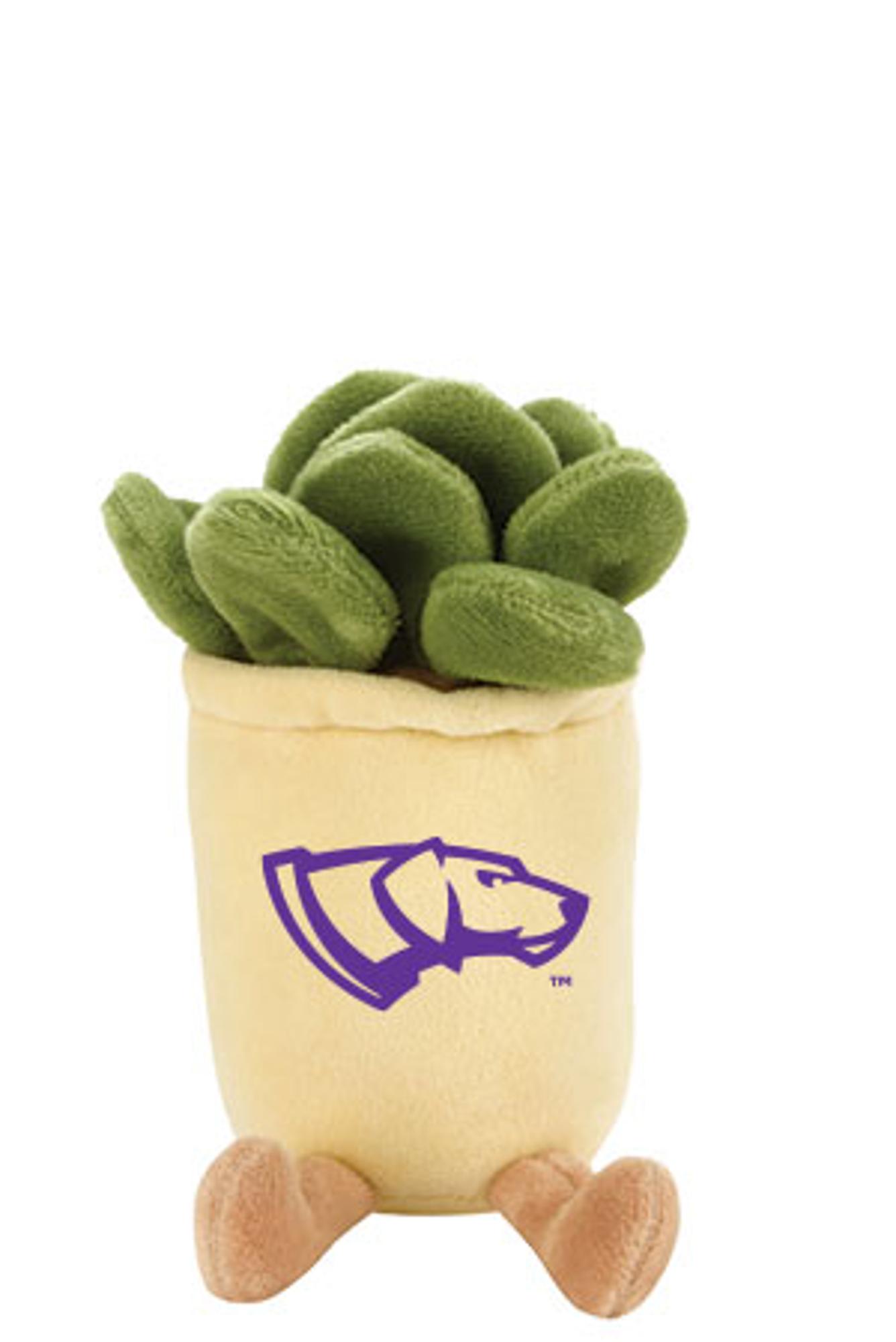 Product image 3 of 4 for UWSP Zenzies