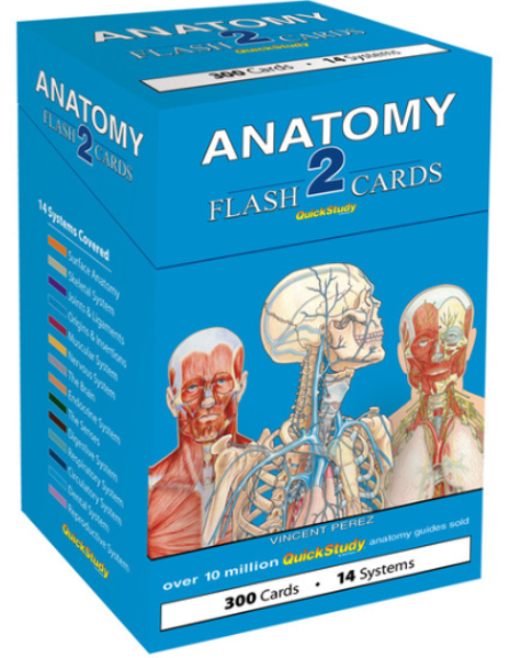 ANATOMY 2 QUICK STUDY FLASH CARDS; $24.99