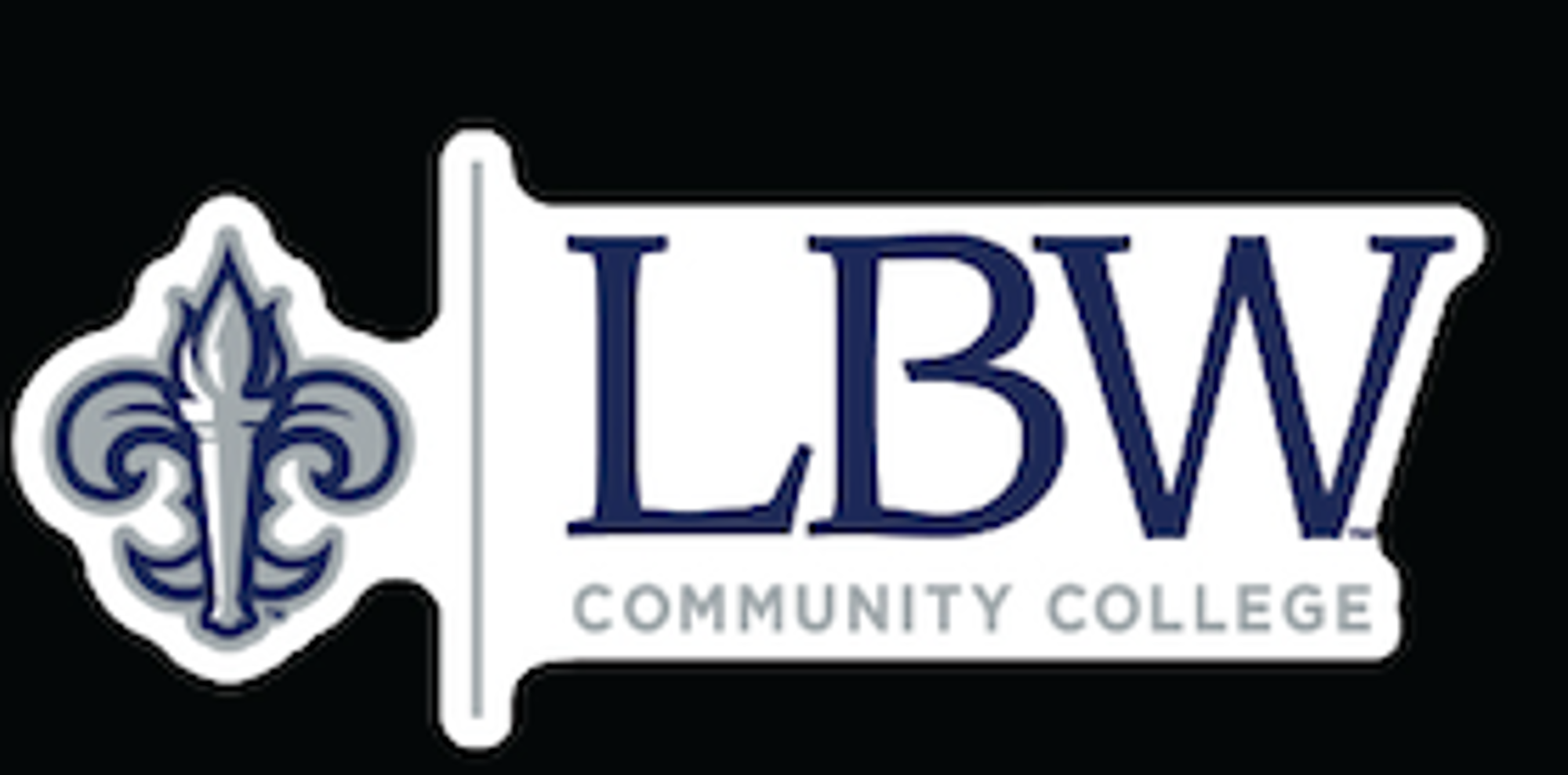 Product image 1 of 1 for LBW 6X2" VINYL DECAL LOGO NAME