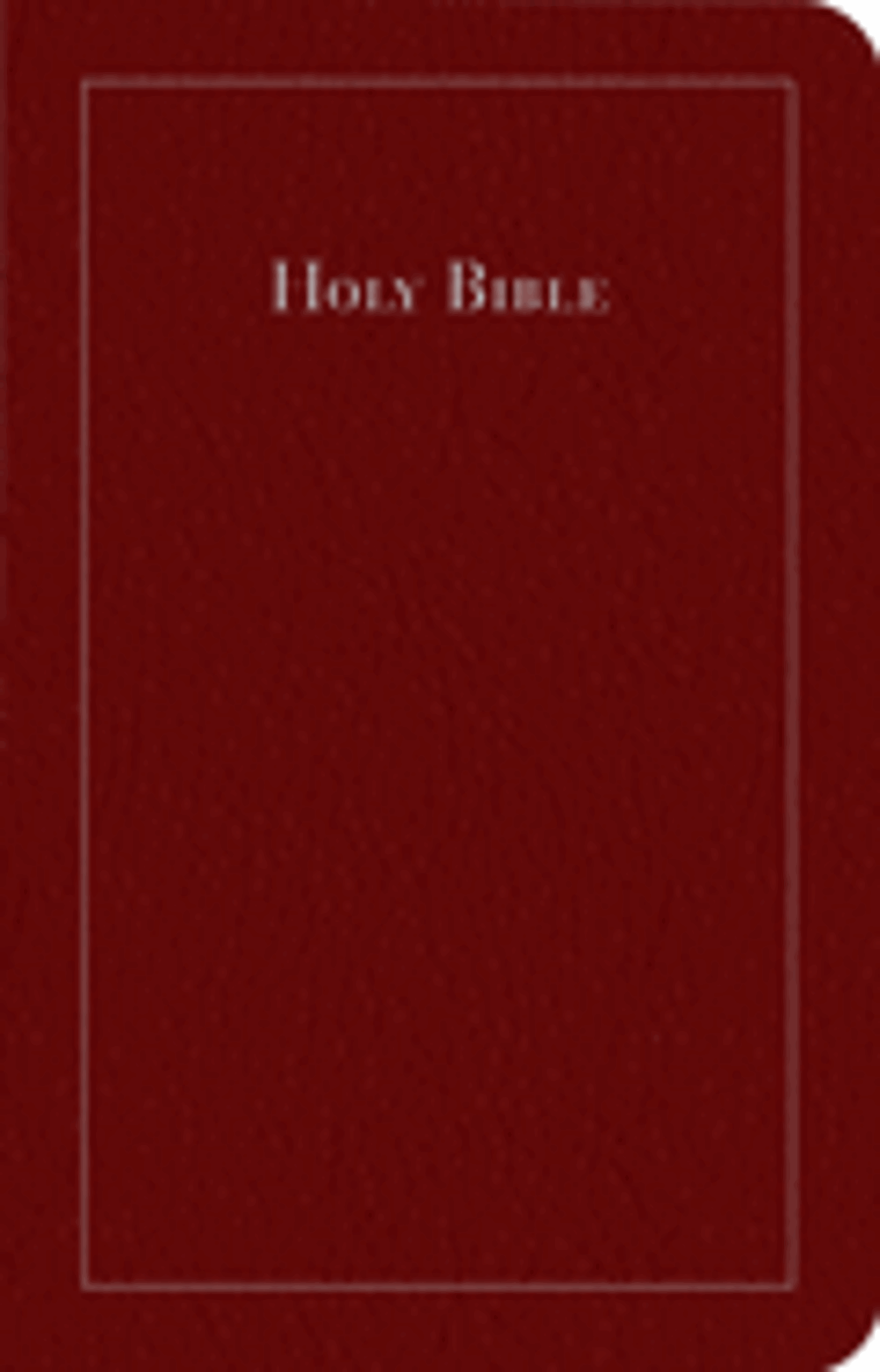 Cover image for CDB Common English Bible Burgundy