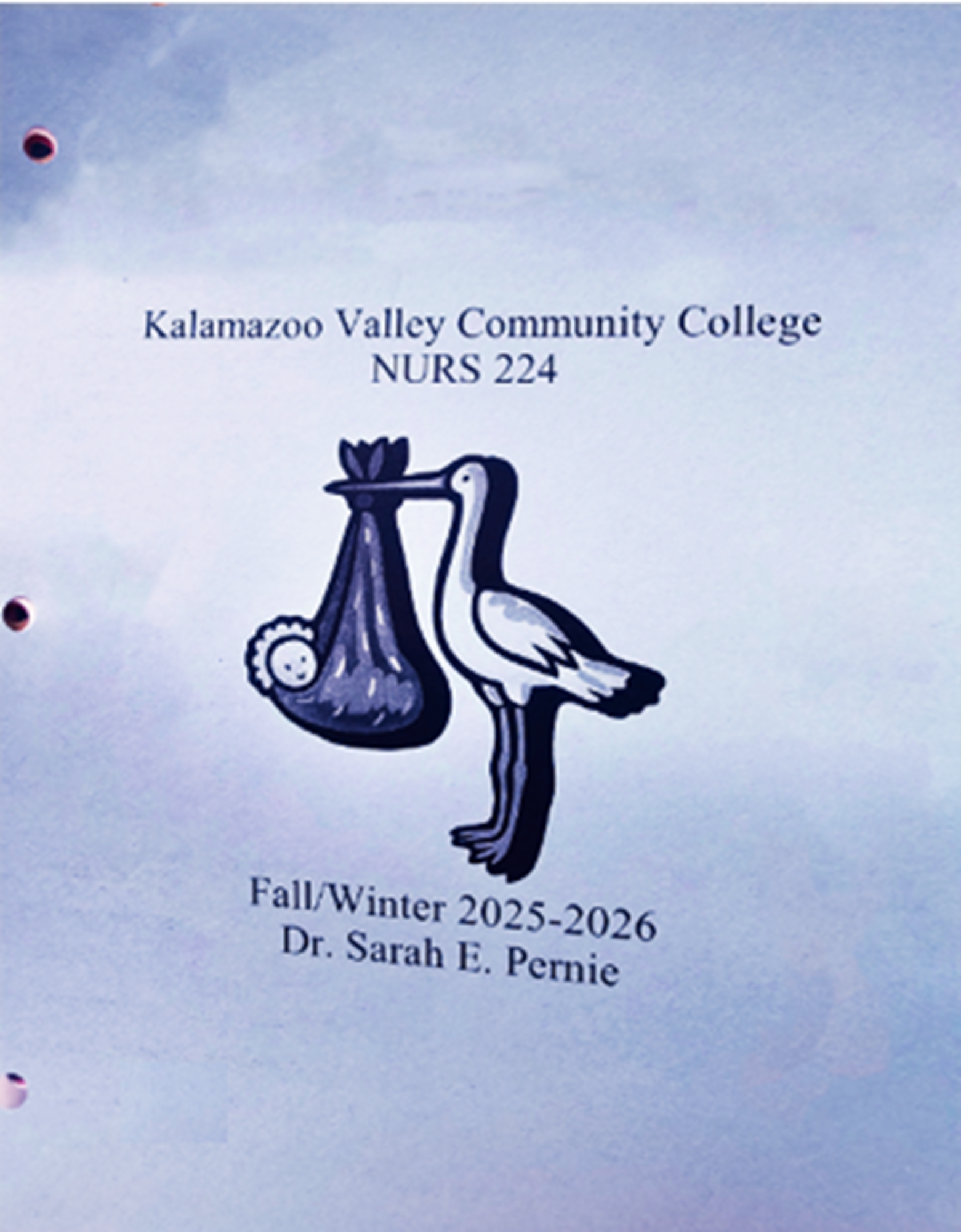 Cover image for NURS 224 Coursepack - FALL 25 / WNTER 26