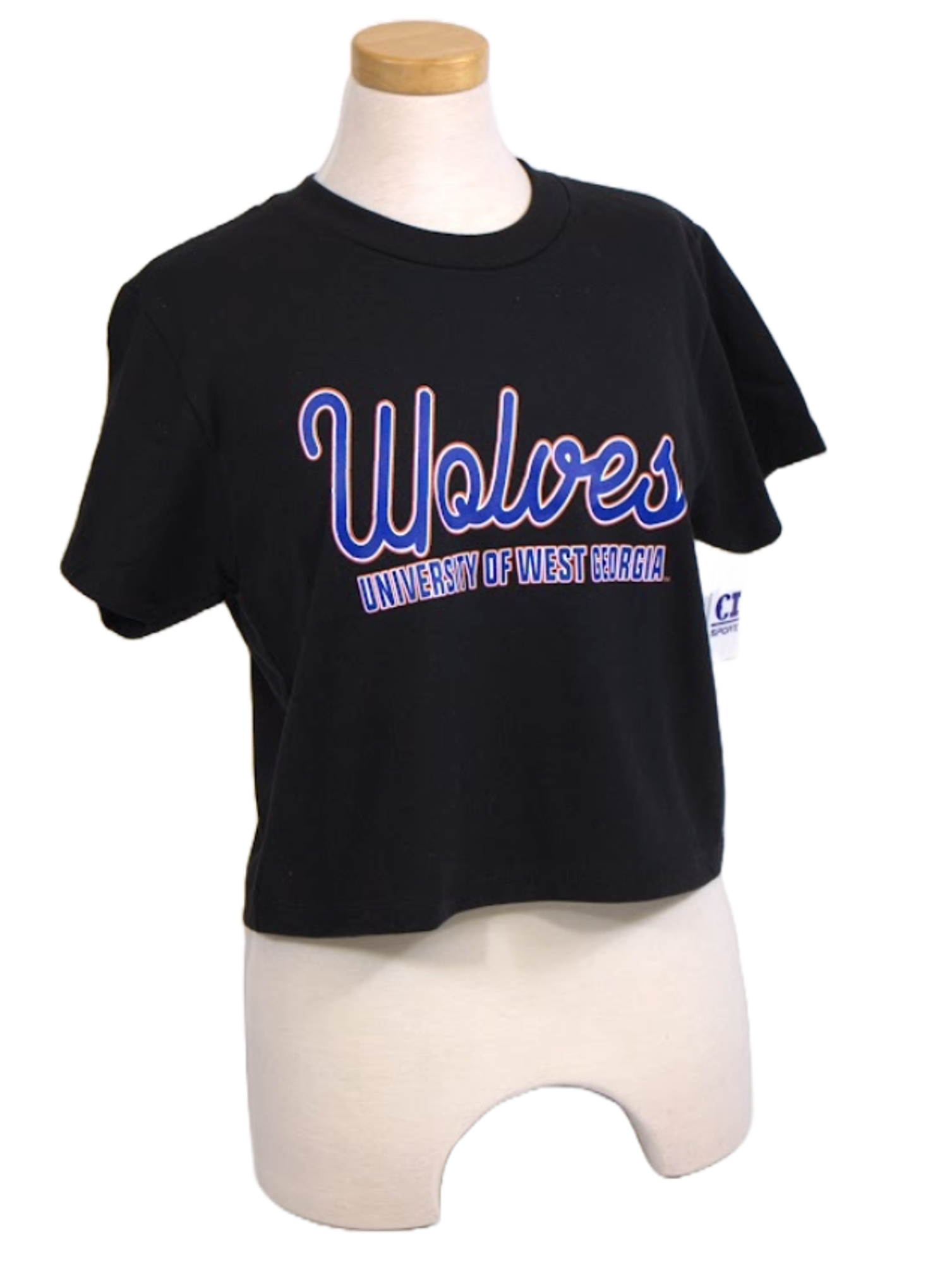 Product image 1 of 1 for PINTAIL SHINE UWG BOXY TEE