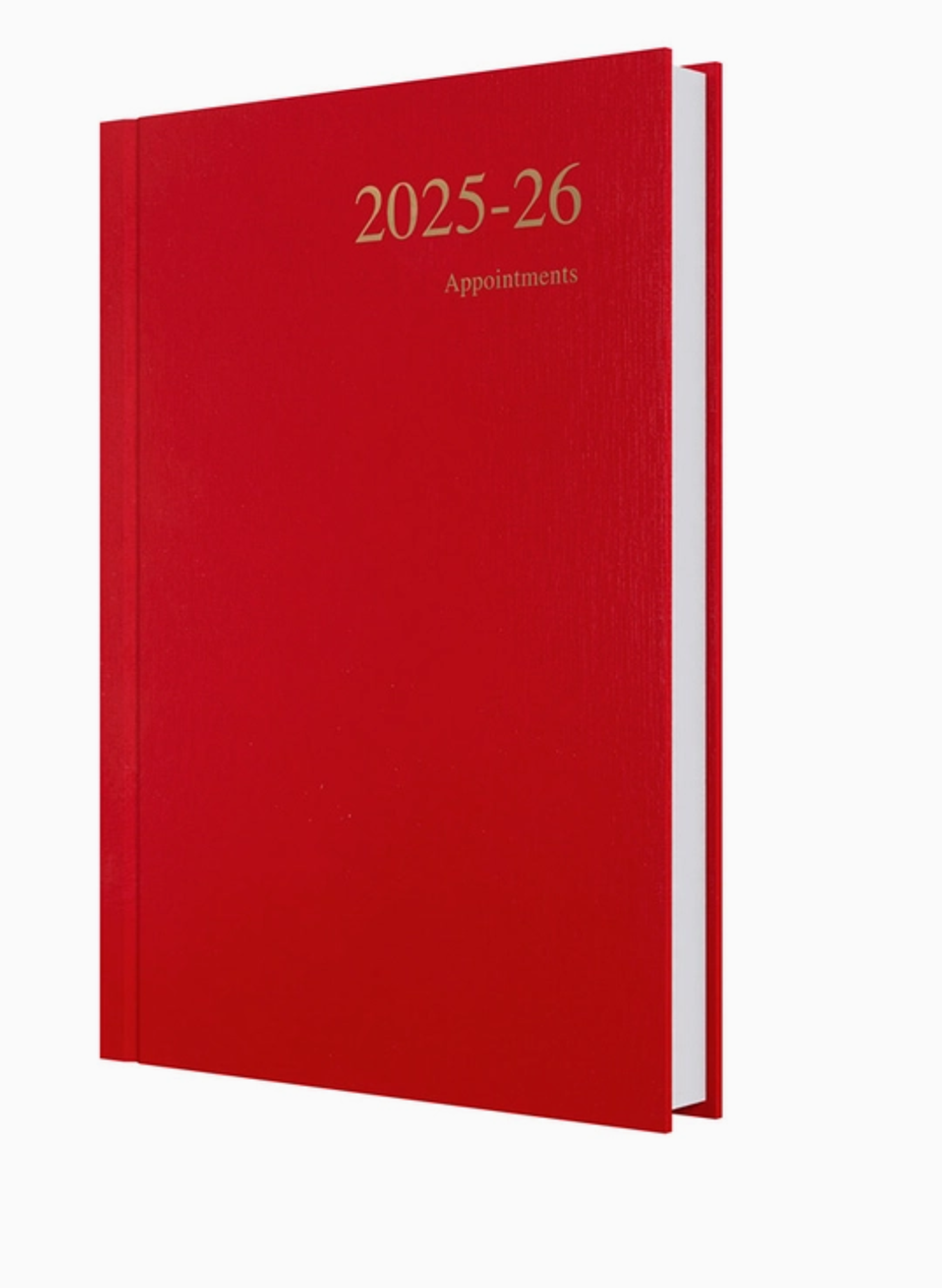 image of: DAY-TO-PAGE PLANNER 25-26