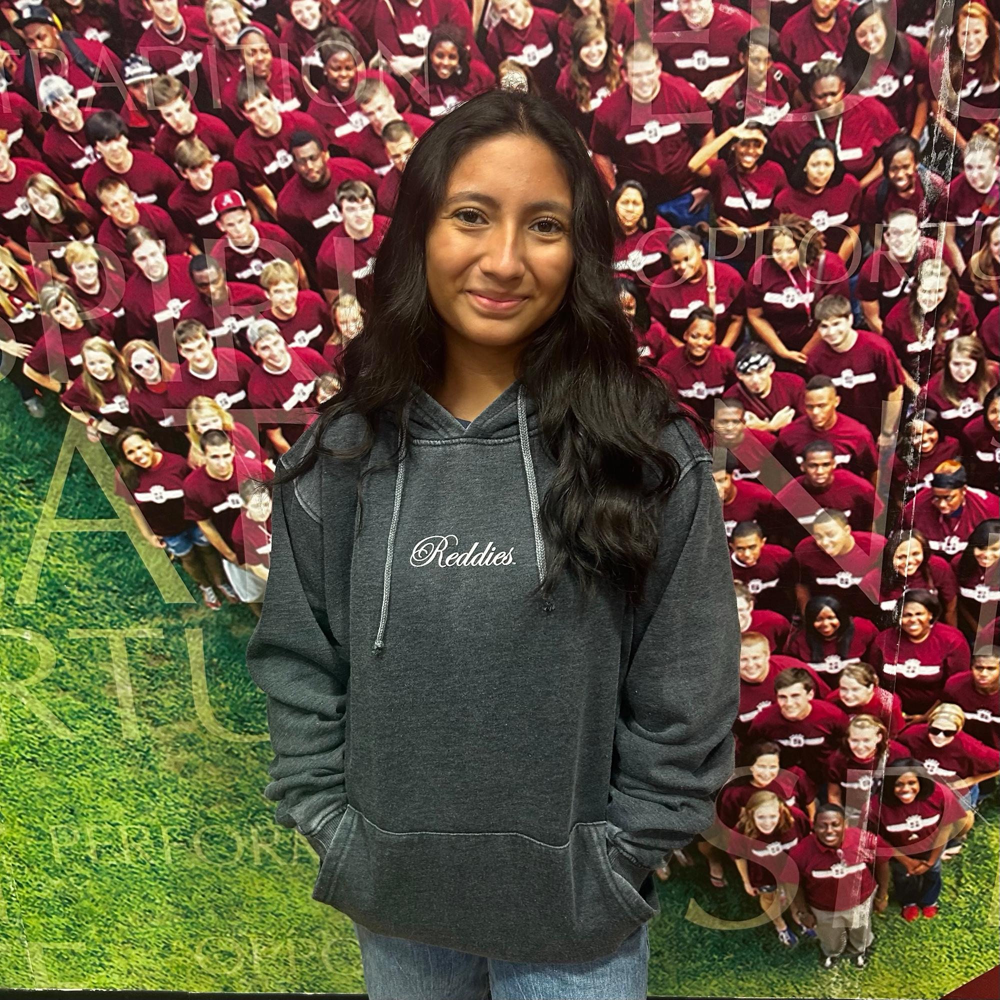 Product image 3 of 4 for Henderson Reddies Everybody Hoodie